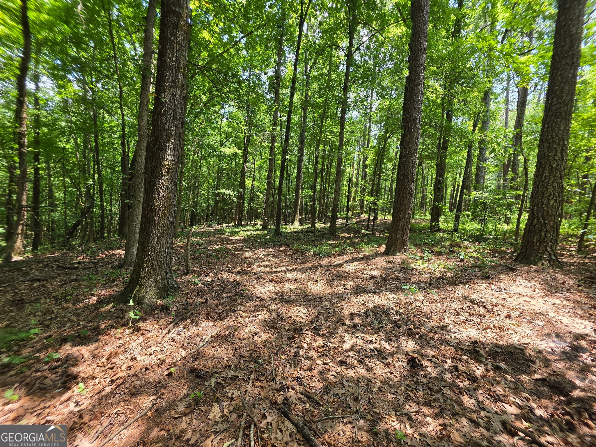 agriculture for sale at 0 Court Ground, Washington, GA 30673 — photo 5