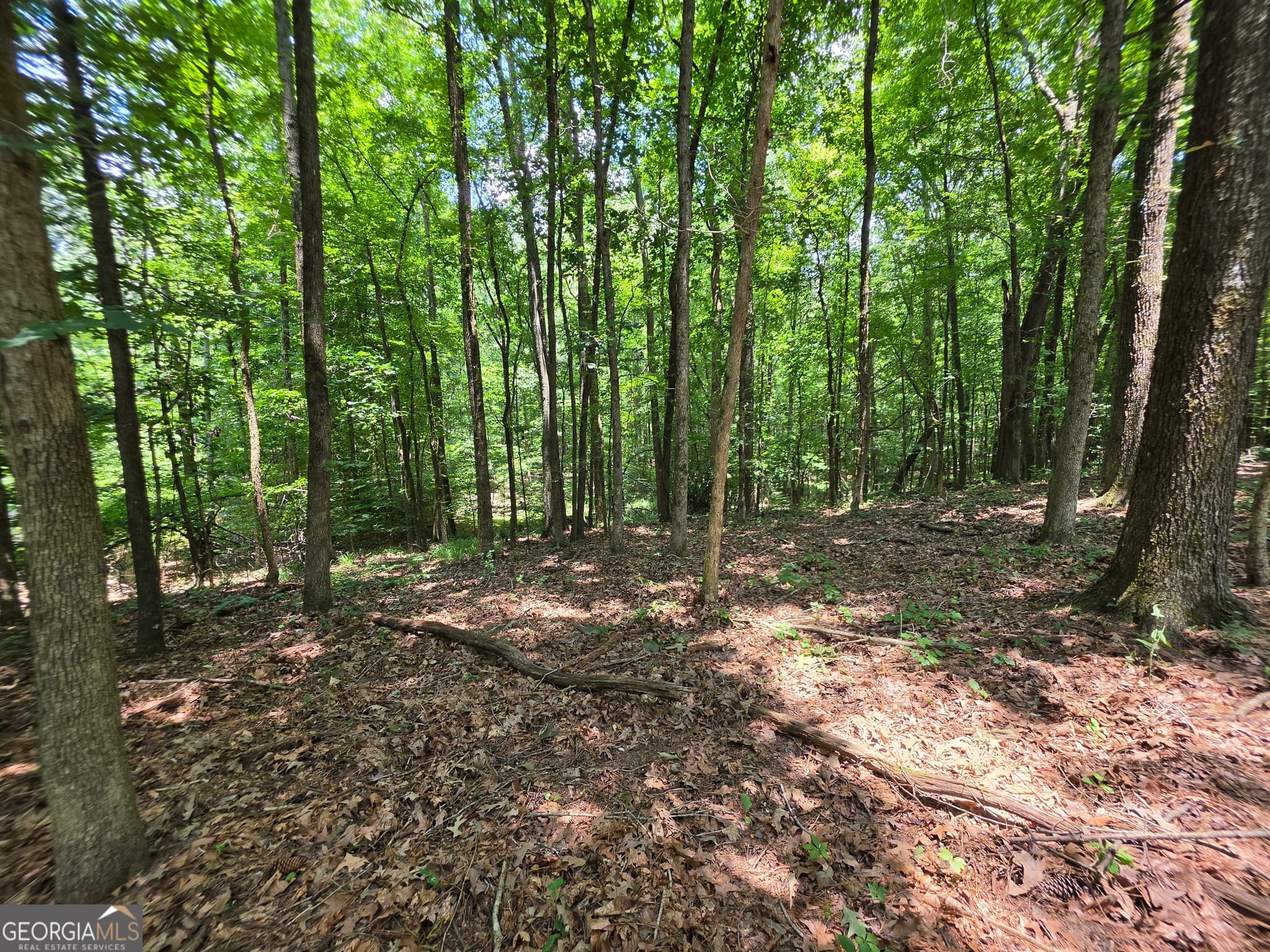 agriculture for sale at 0 Court Ground, Washington, GA 30673 — photo 4