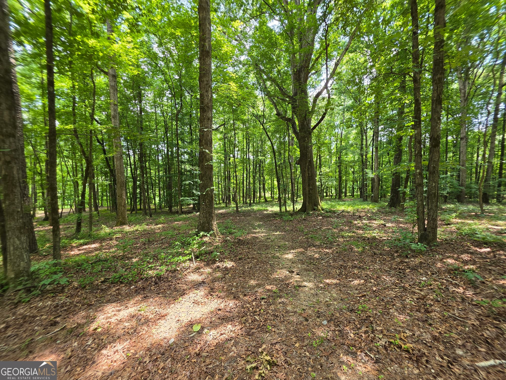 agriculture for sale at 0 Court Ground, Washington, GA 30673 — photo 8