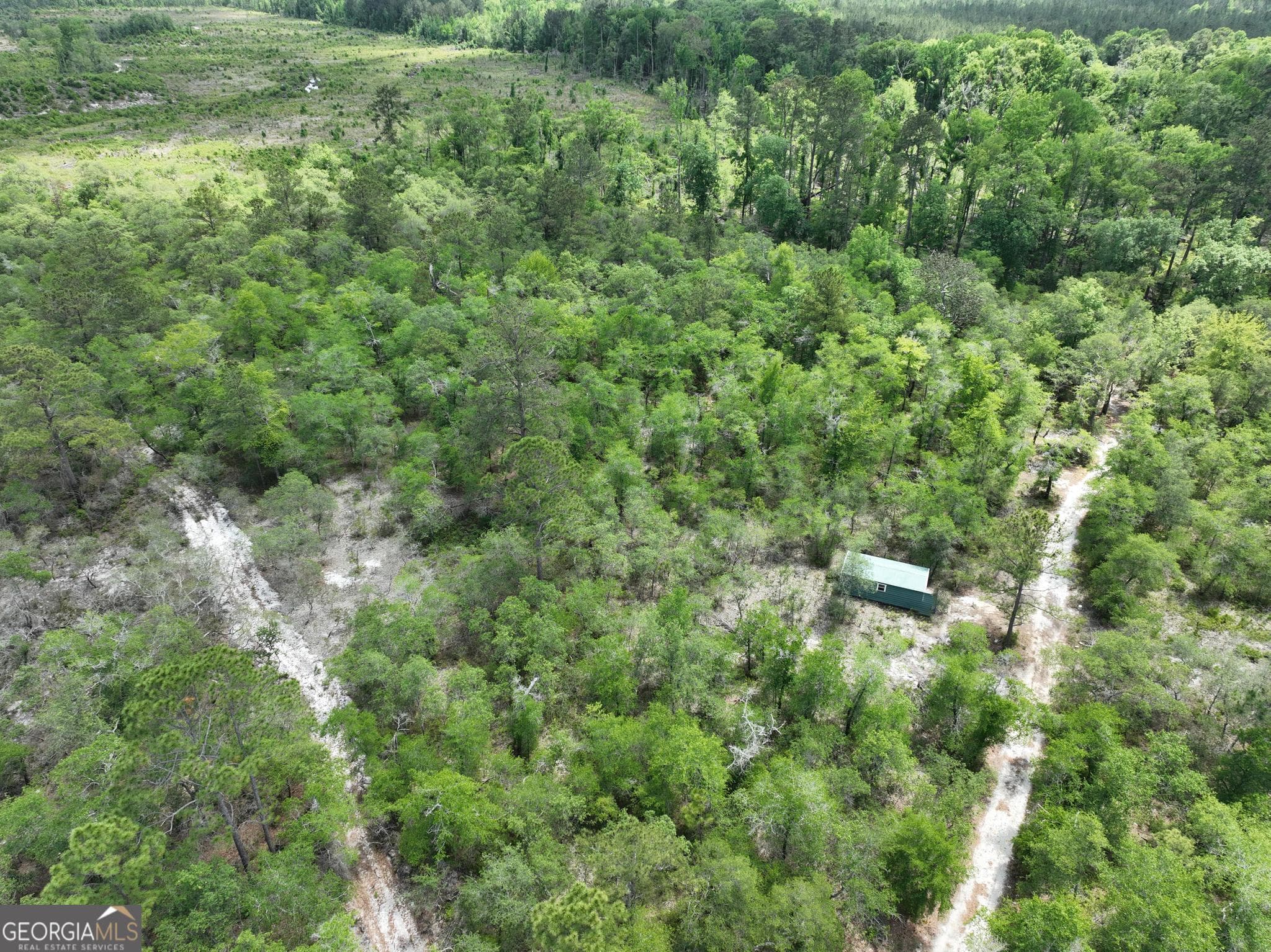 unimproved land for sale at 8 Old Highway 46   (24.84 ac), Twin City, GA 30471 — photo 6