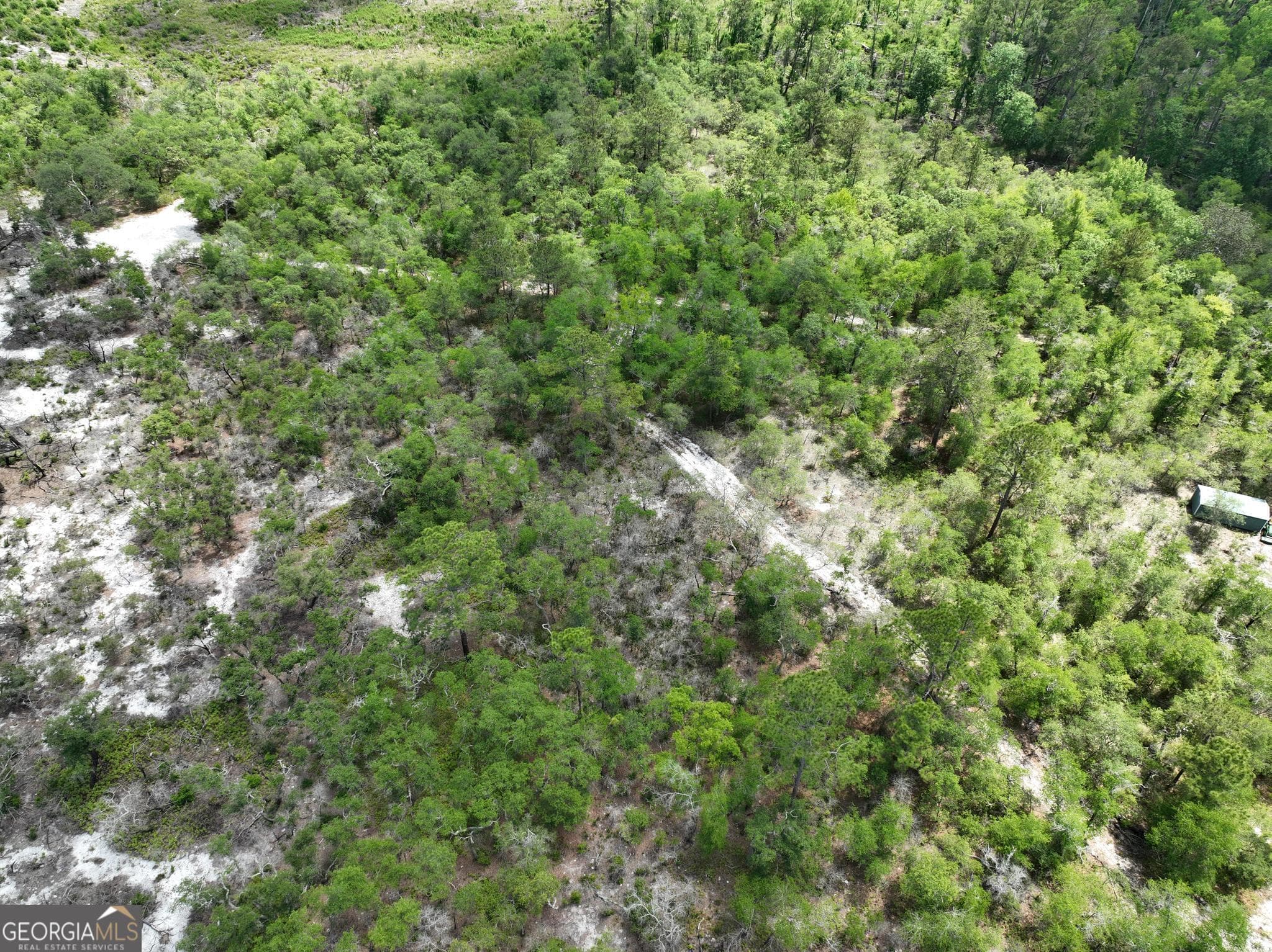 unimproved land for sale at 8 Old Highway 46   (24.84 ac), Twin City, GA 30471 — photo 7