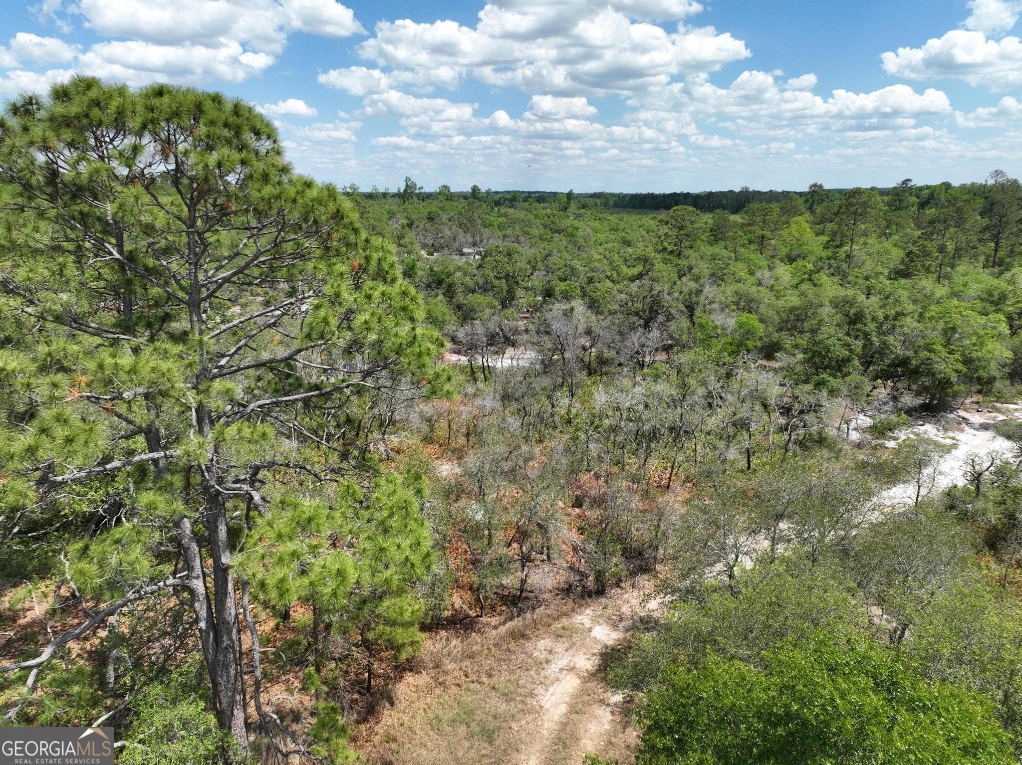 unimproved land for sale at 8 Old Highway 46   (24.84 ac), Twin City, GA 30471 — photo 3