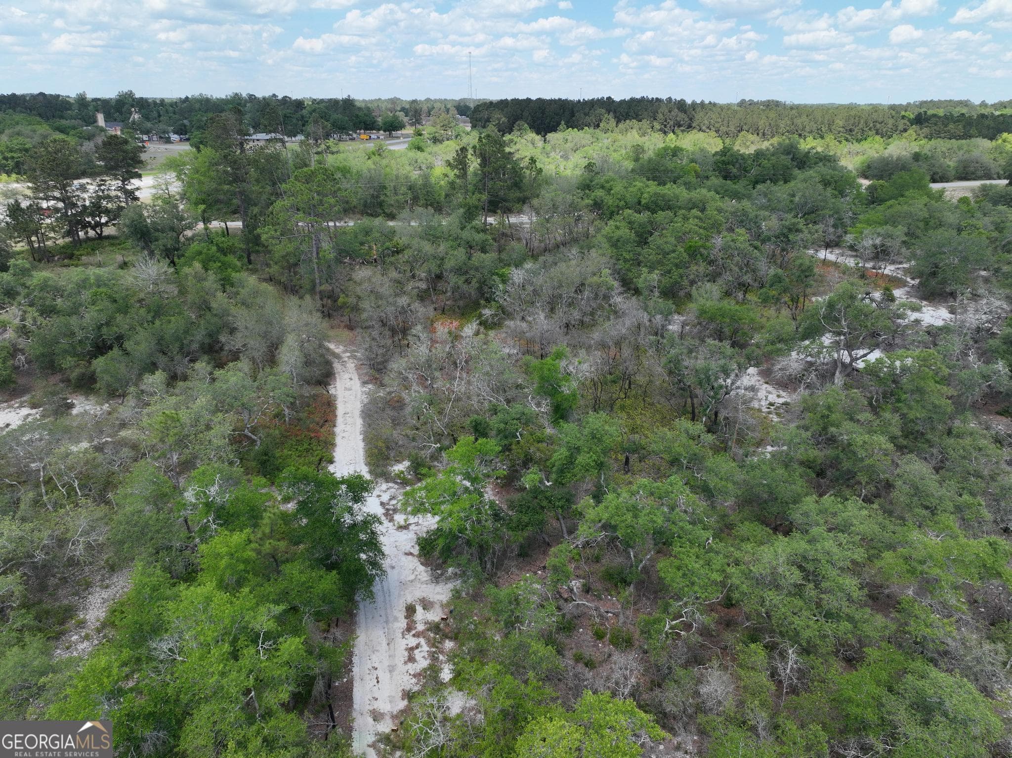 unimproved land for sale at 8 Old Highway 46   (24.84 ac), Twin City, GA 30471 — photo 5