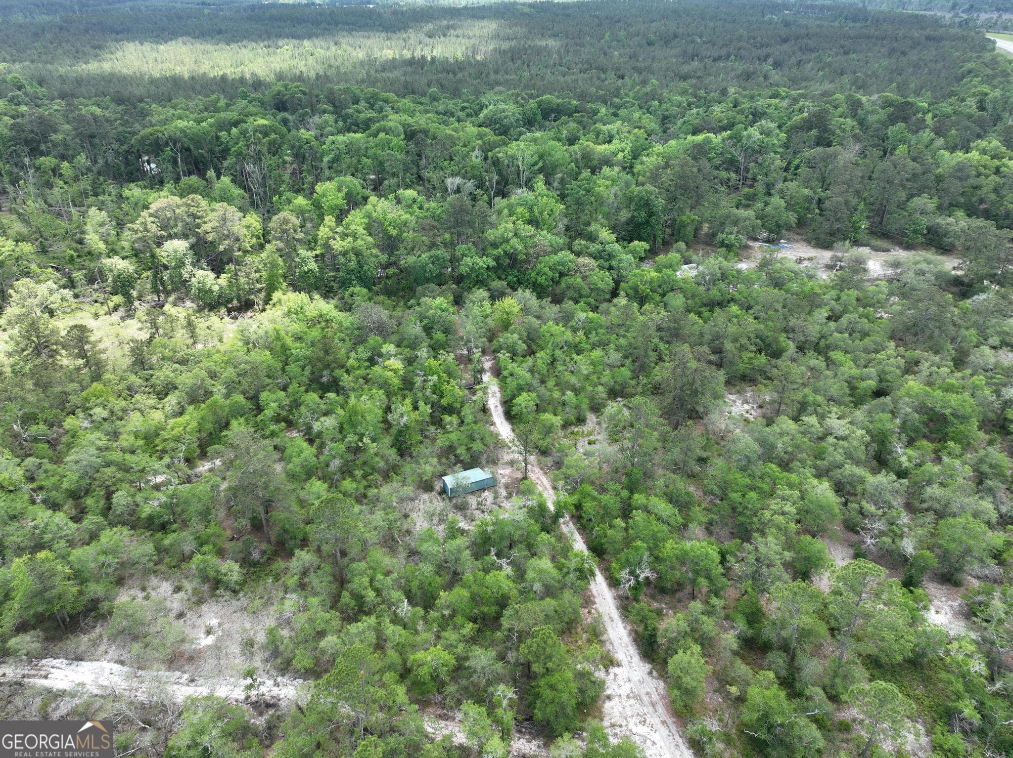 unimproved land for sale at 8 Old Highway 46   (24.84 ac), Twin City, GA 30471 — photo 9