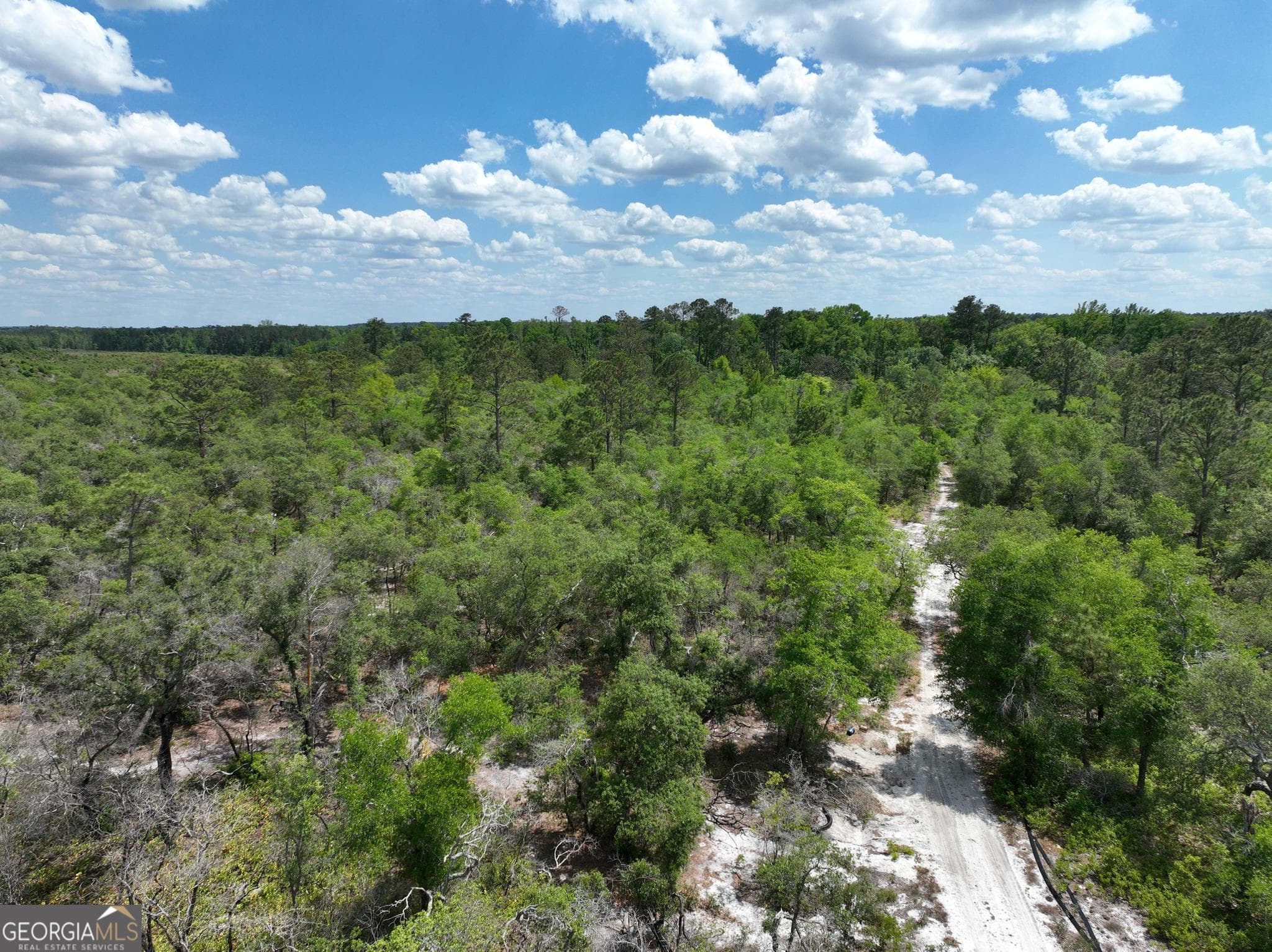 unimproved land for sale at 8 Old Highway 46   (24.84 ac), Twin City, GA 30471 — photo 4