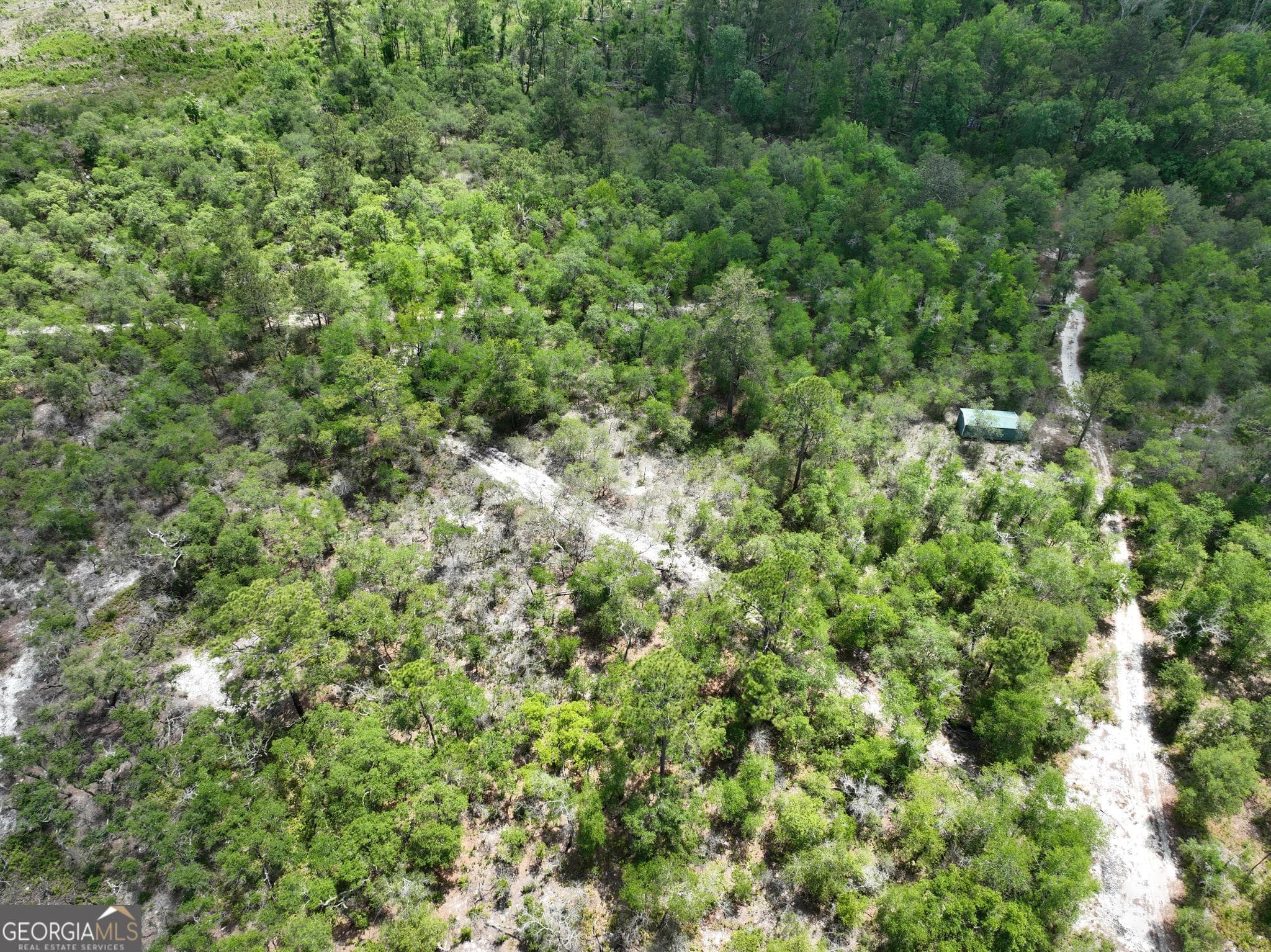 unimproved land for sale at 8 Old Highway 46   (24.84 ac), Twin City, GA 30471 — photo 8