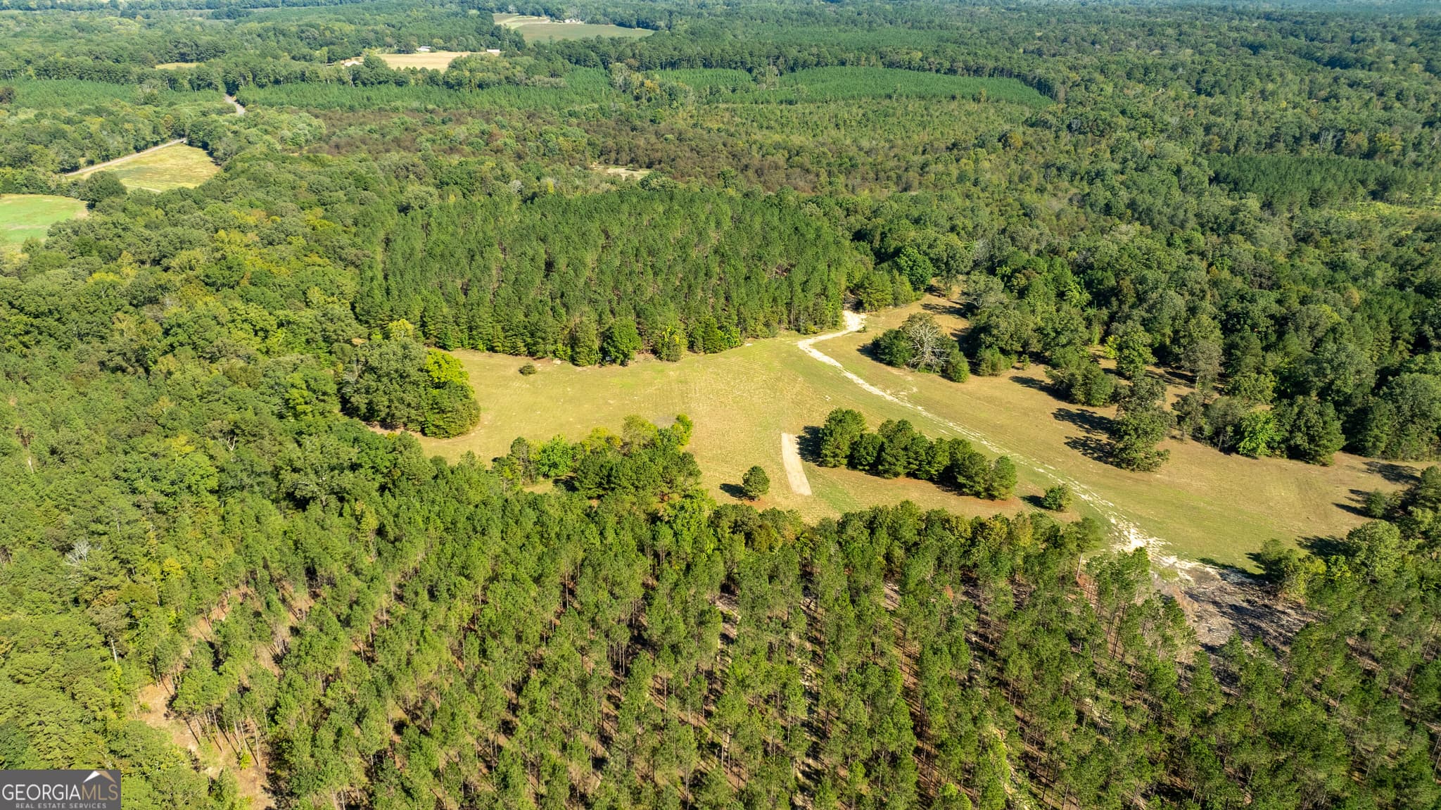 unimproved land for sale at 16,17,20 Livingston Road, Rome, GA 30161 — photo 1 of 3