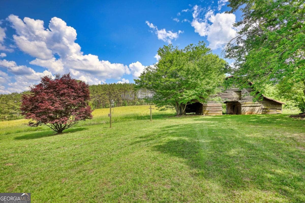 3 bedroom, 3 bathroom, 2,352 sq ft single family residence for sale at 2643 Macedonia Road, Franklin, GA 30217 — photo 10