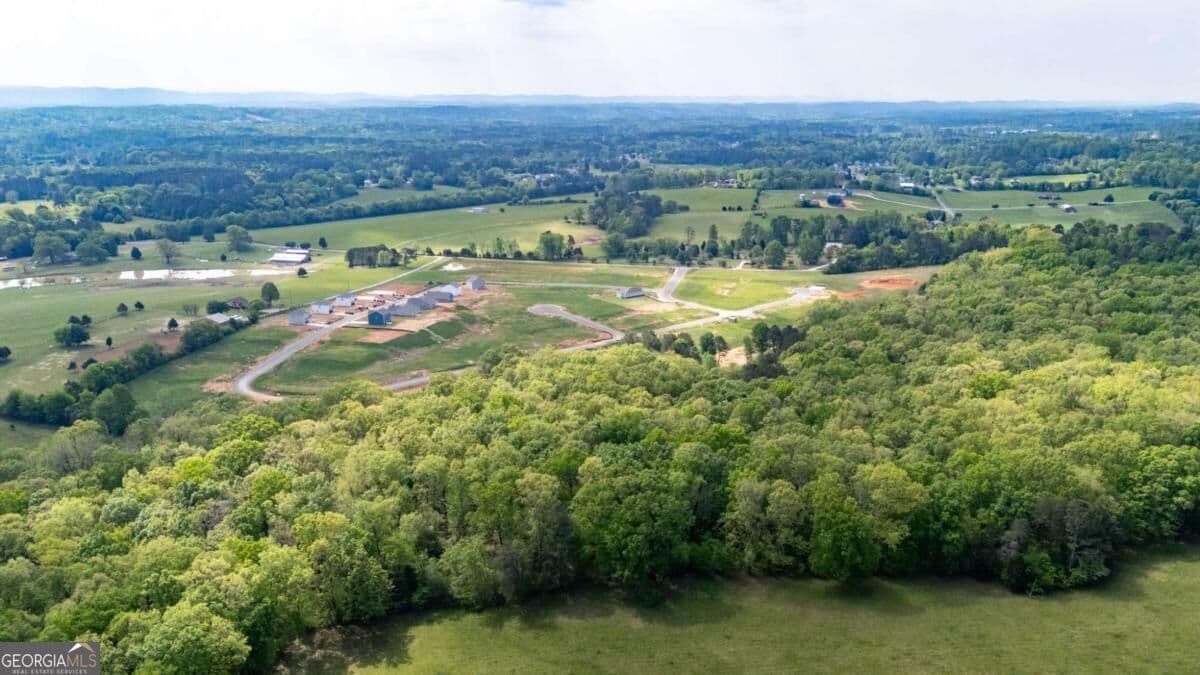 agriculture for sale at 0 Bicentennial Trail 5, Rock Spring, GA 30739 — photo 5