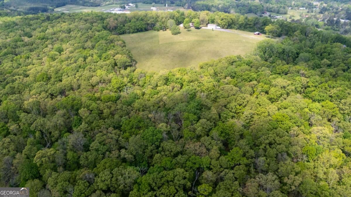 agriculture for sale at 0 Bicentennial Trail 5, Rock Spring, GA 30739 — photo 10