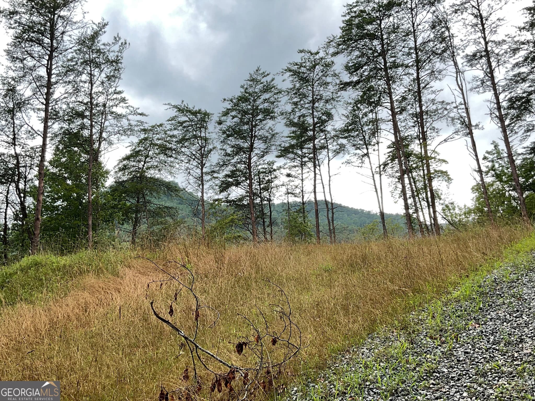 agriculture under contract at 675 Big Creek Road, Otto, NC 28763 — photo 3