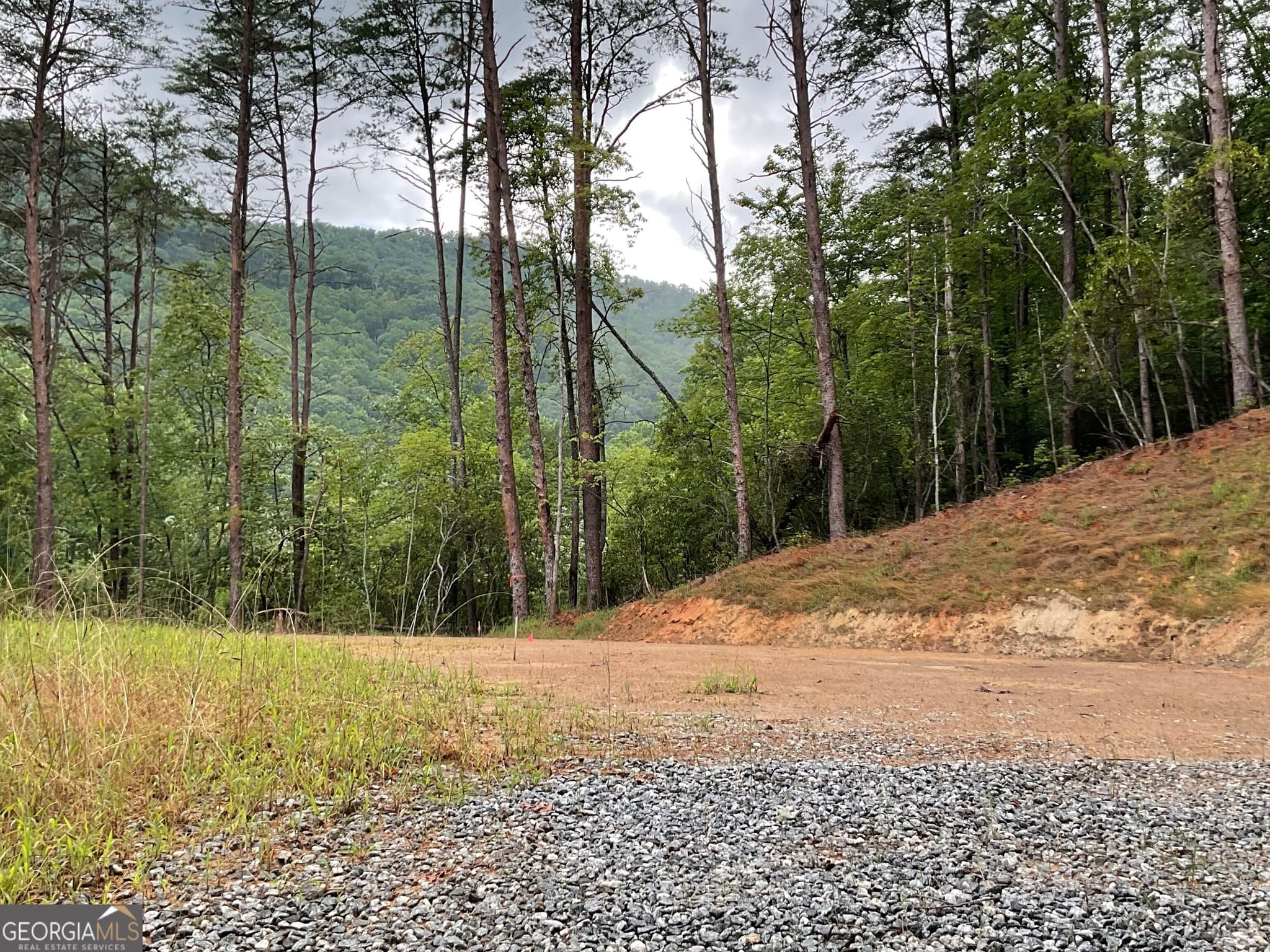 agriculture under contract at 675 Big Creek Road, Otto, NC 28763 — photo 4