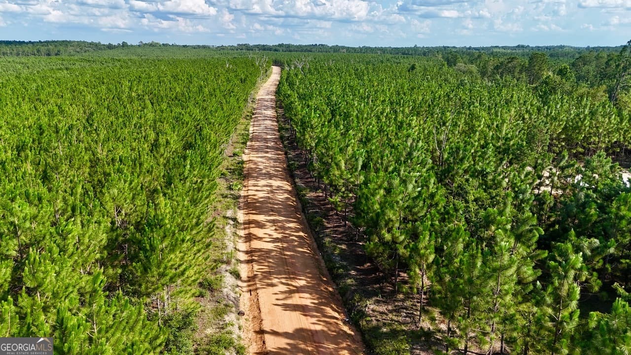 agriculture for sale at 0 Penny Morris Road, Baxley, GA 31513 — photo 3