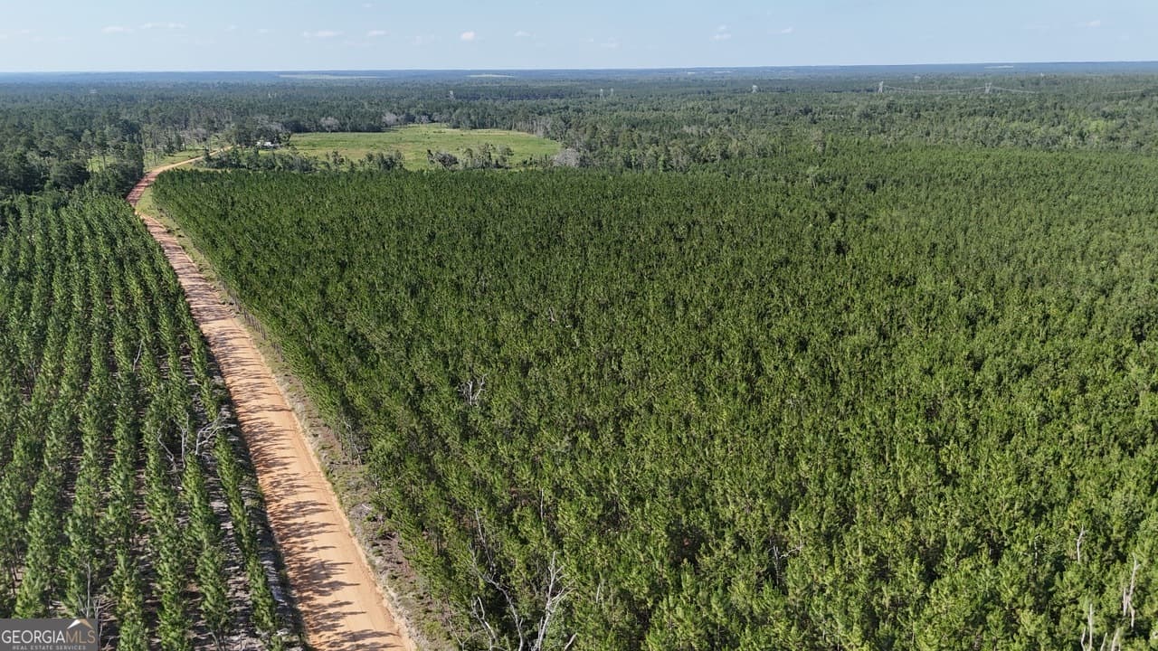 agriculture for sale at 0 Penny Morris Road, Baxley, GA 31513