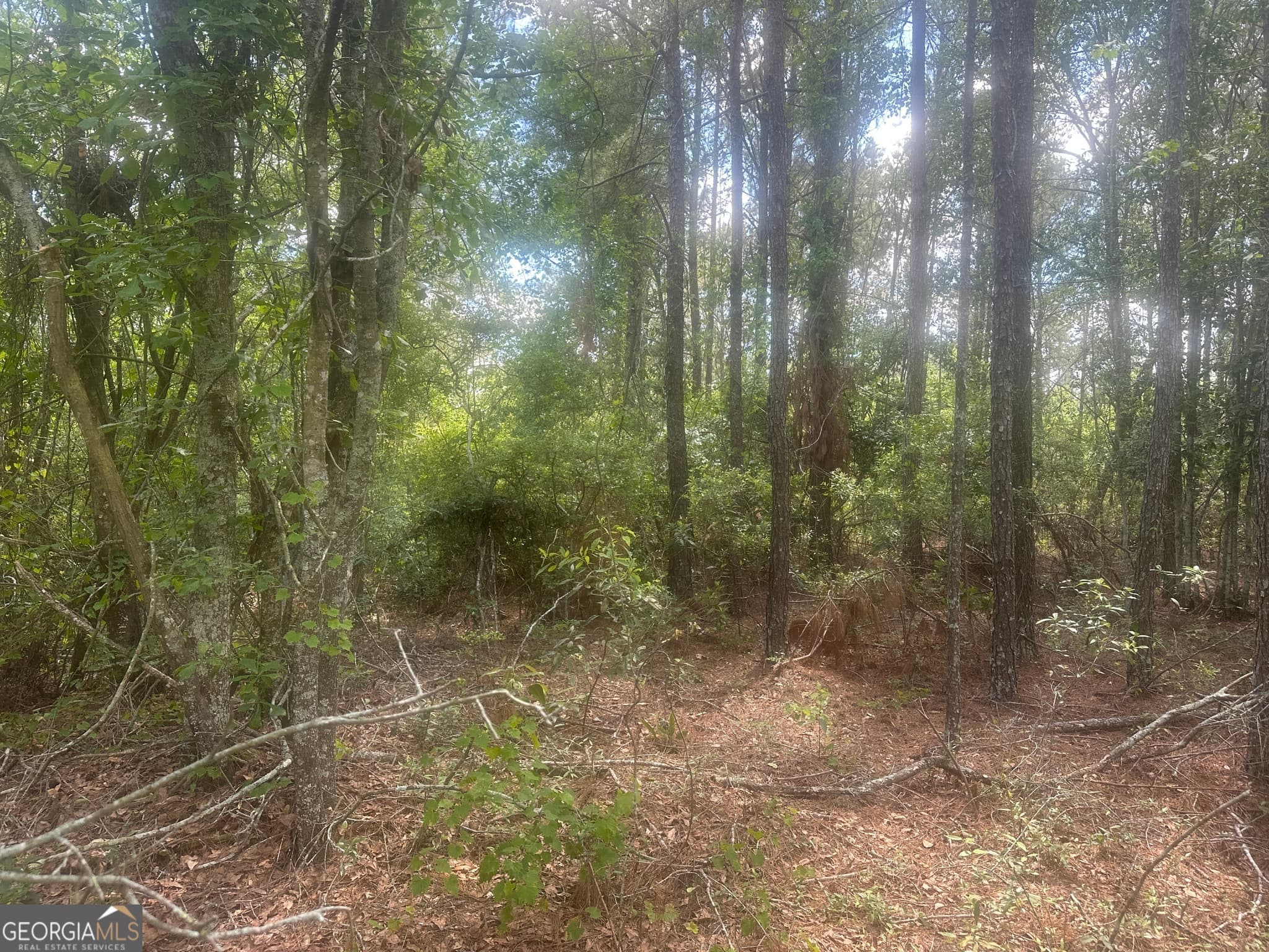 unimproved land for sale at 0 Robert Chapel Cemetery Road, Glennville, GA 30427 — photo 6