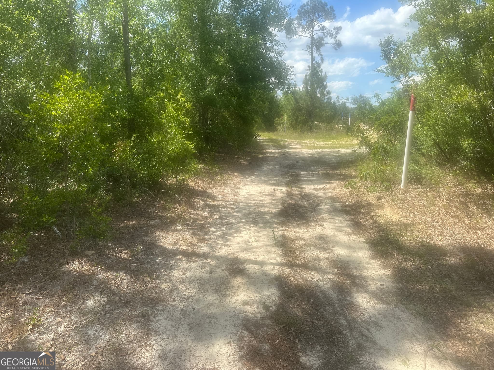 unimproved land for sale at 0 Robert Chapel Cemetery Road, Glennville, GA 30427 — photo 3
