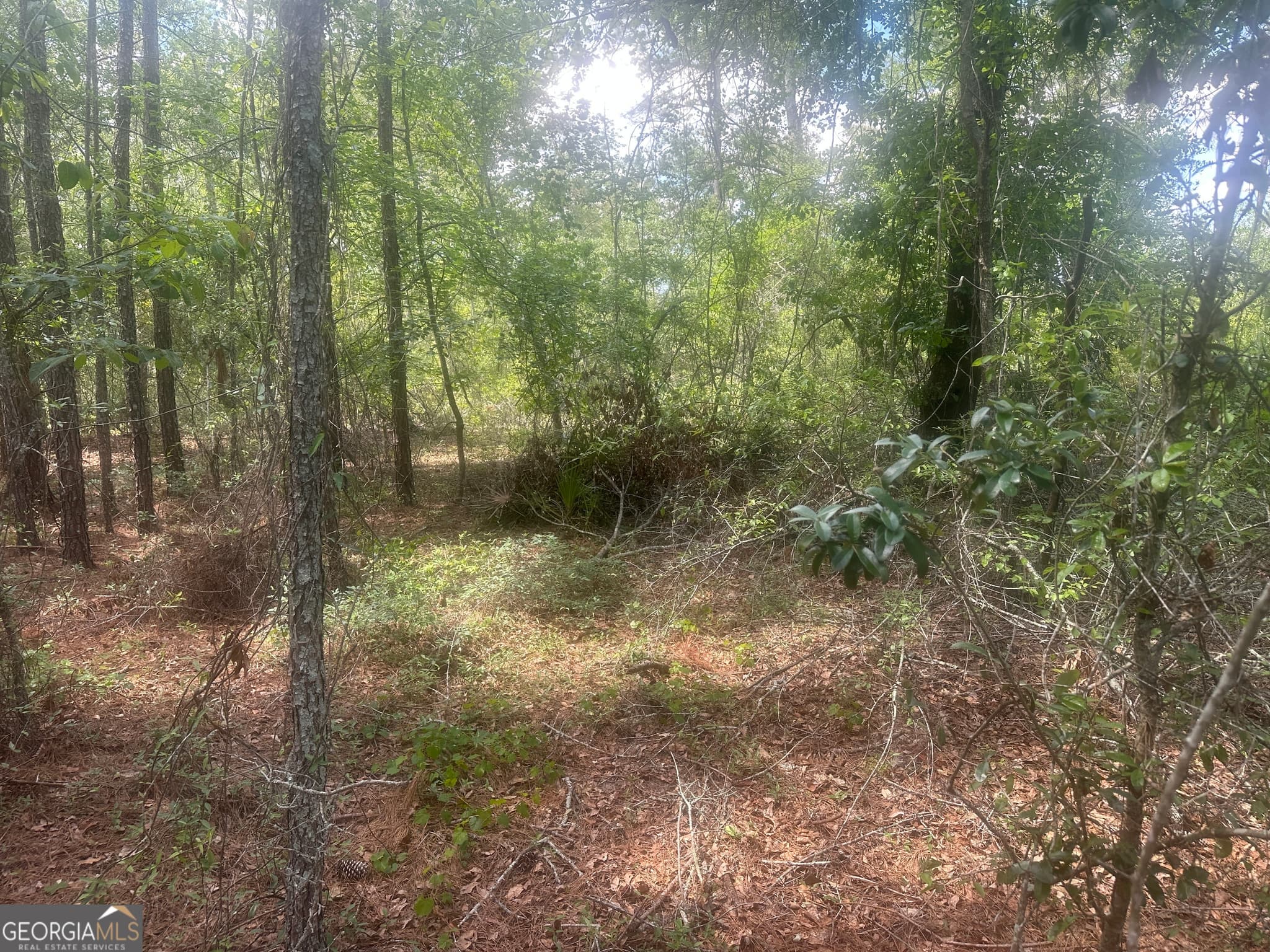 unimproved land for sale at 0 Robert Chapel Cemetery Road, Glennville, GA 30427