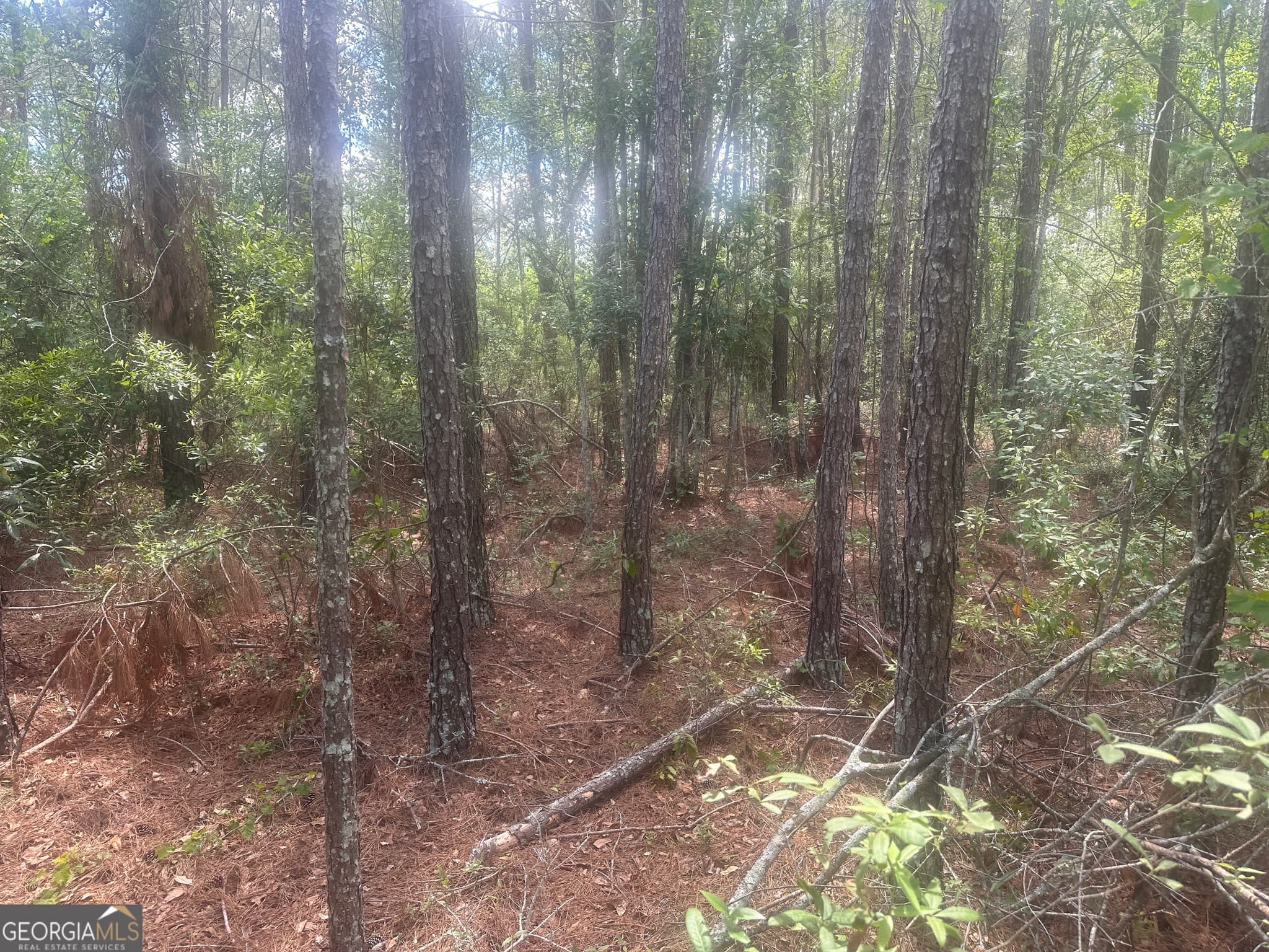unimproved land for sale at 0 Robert Chapel Cemetery Road, Glennville, GA 30427 — photo 10