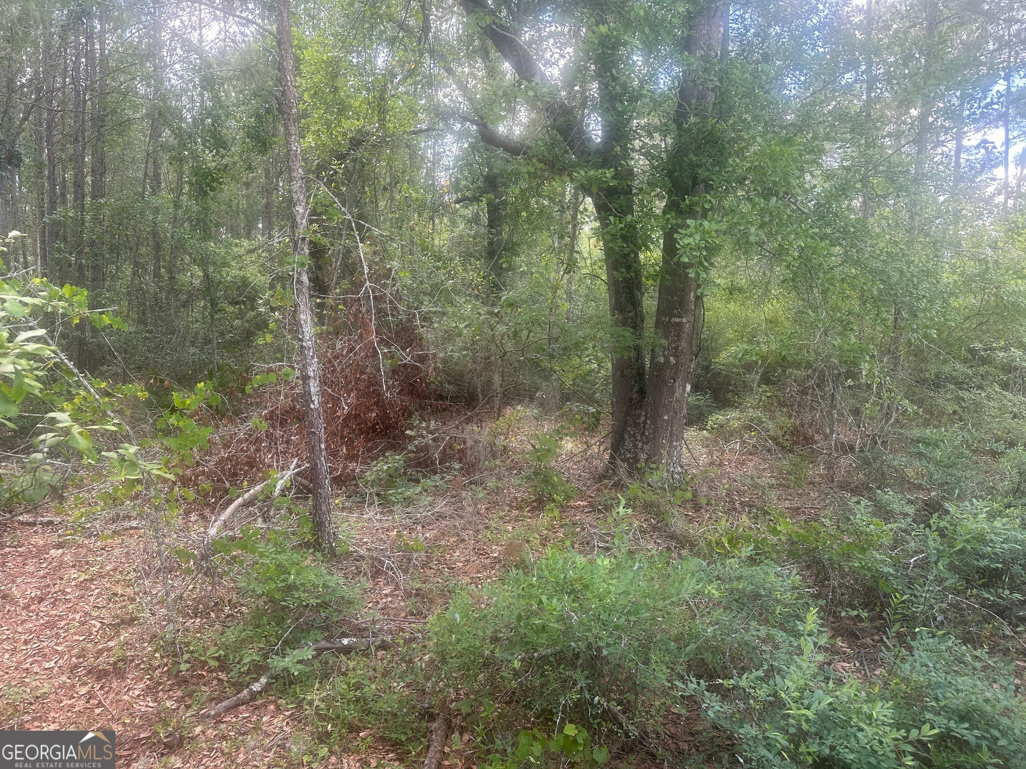 unimproved land for sale at 0 Robert Chapel Cemetery Road, Glennville, GA 30427 — photo 4