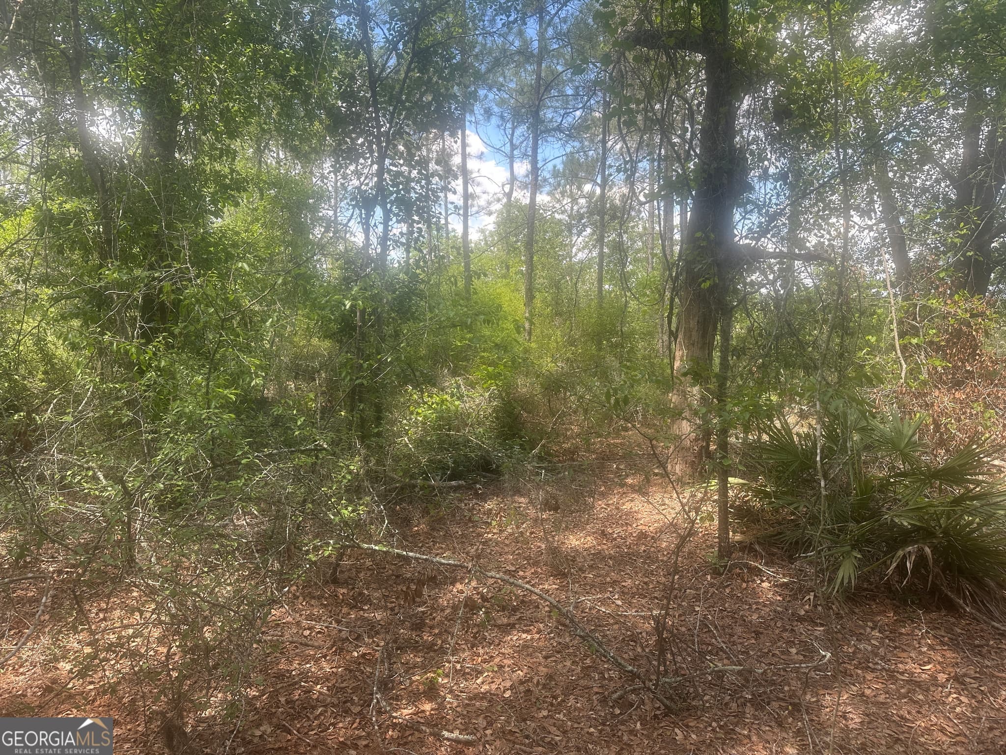 unimproved land for sale at 0 Robert Chapel Cemetery Road, Glennville, GA 30427 — photo 8