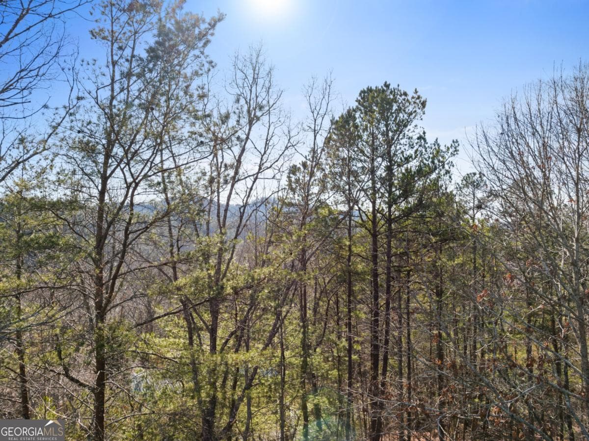 2 bedroom, 2 bathroom cabin,single family residence for sale at 1140 Knollwood Road, Mineral Bluff, GA 30559 — photo 3