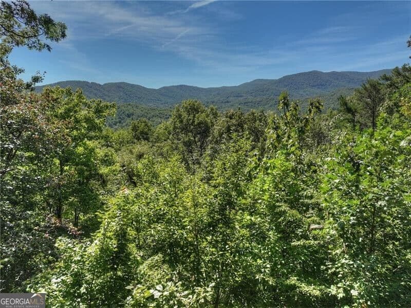3 bedroom, 3 bathroom, 2,520 sq ft cabin,single family residence for sale at 300 Cloudland Trace, Epworth, GA 30541 — photo 3