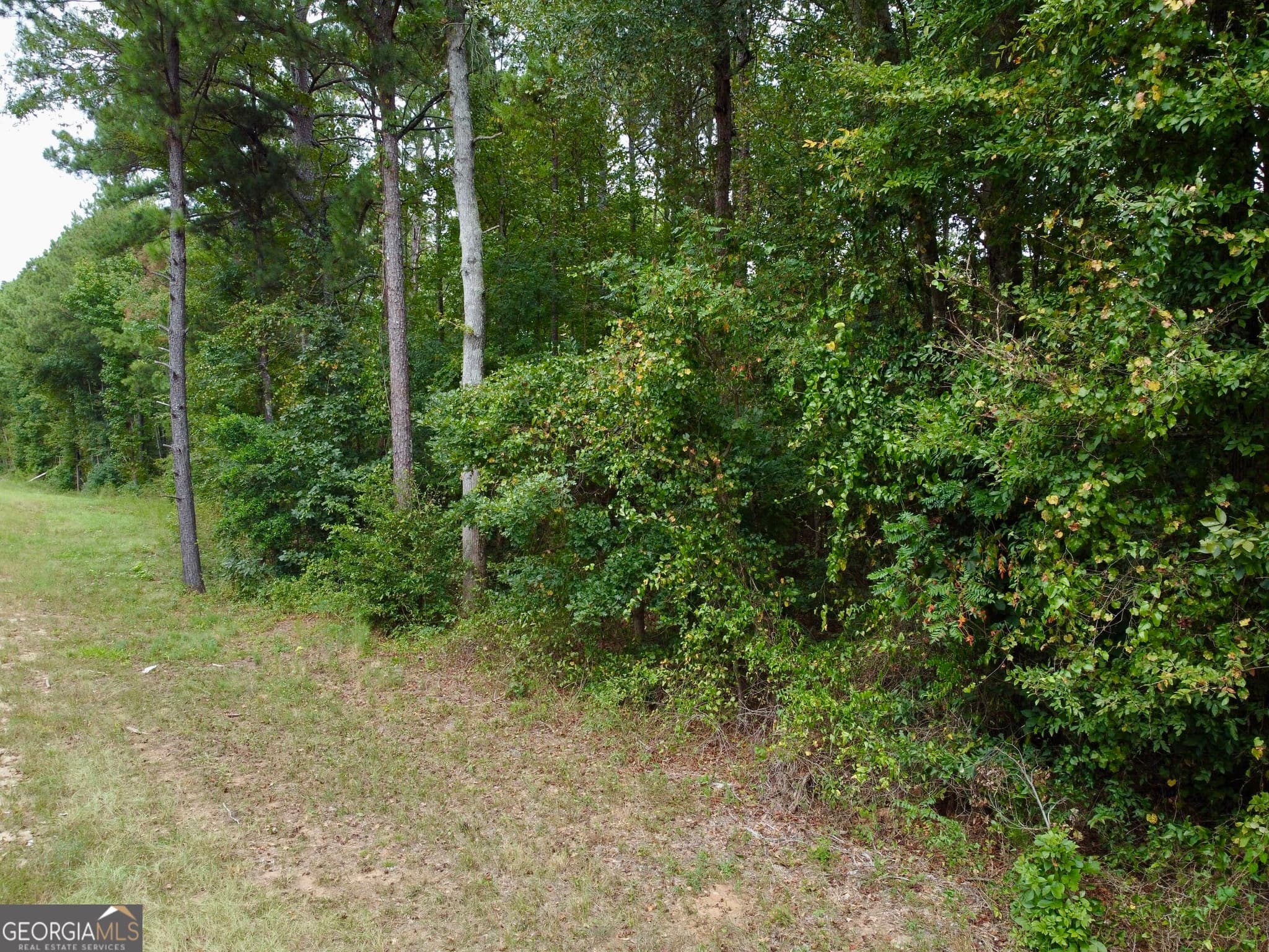 unimproved land for sale at 375 Highway 212, Covington, GA 30016 — photo 7