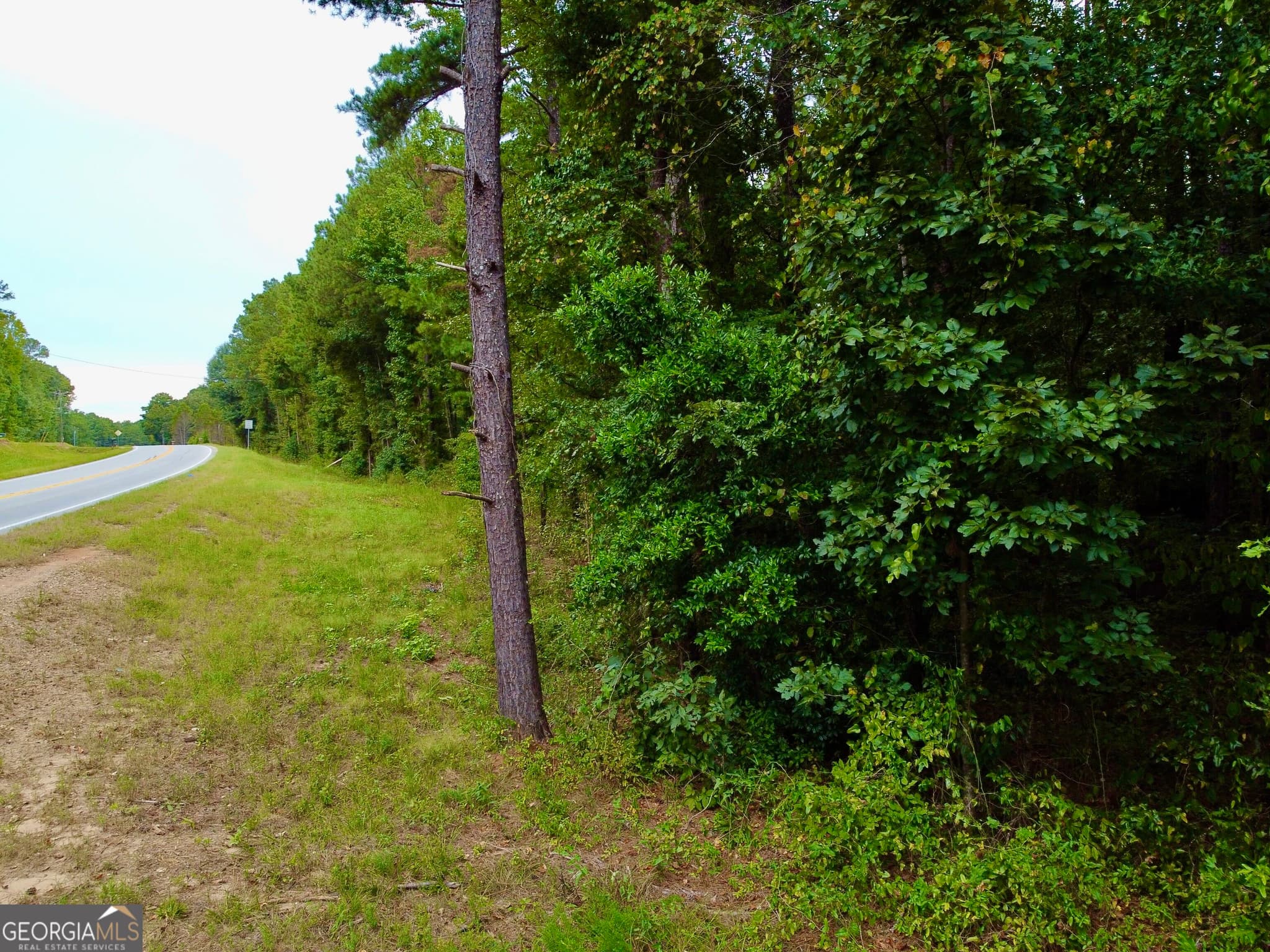 unimproved land for sale at 375 Highway 212, Covington, GA 30016 — photo 5