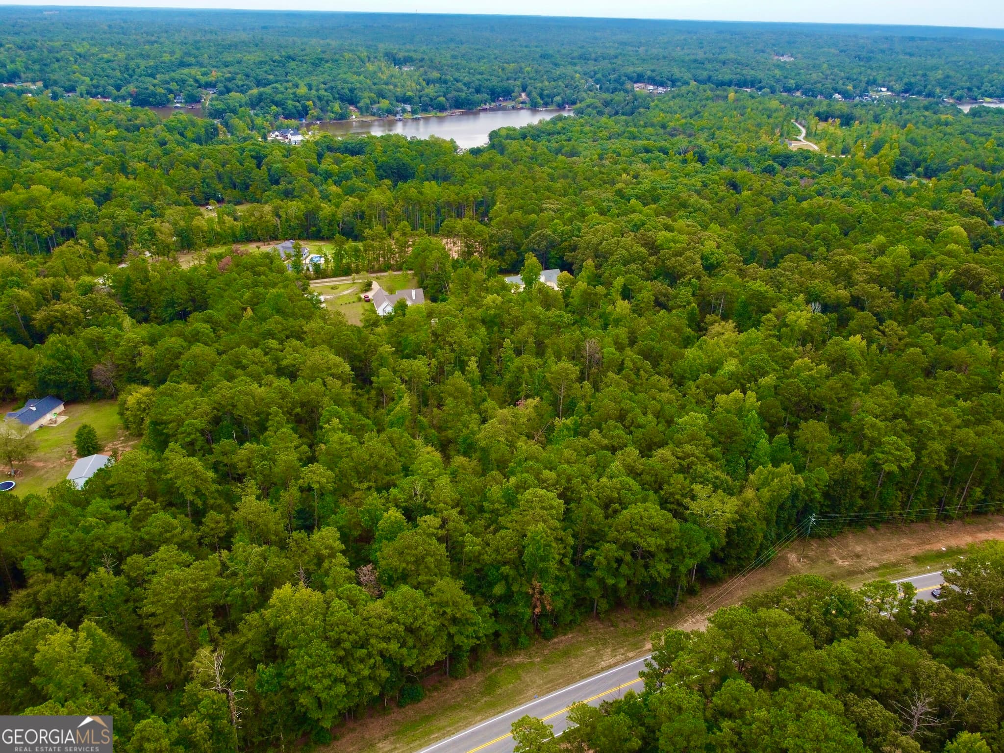 unimproved land for sale at 375 Highway 212, Covington, GA 30016 — photo 9