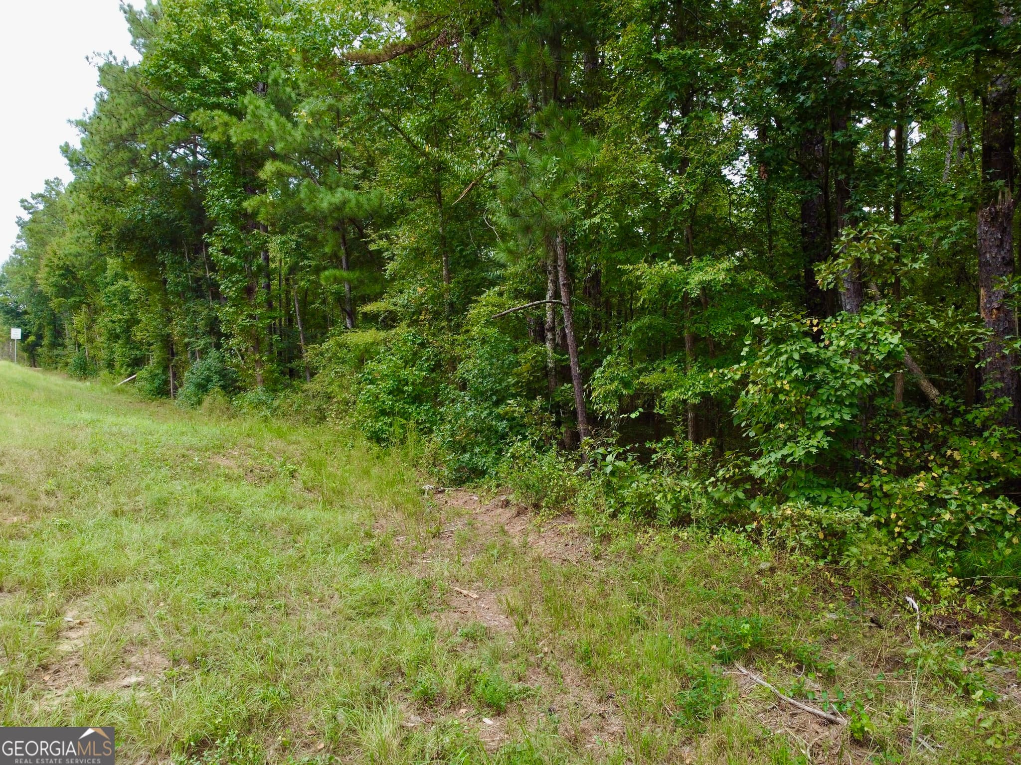 unimproved land for sale at 375 Highway 212, Covington, GA 30016 — photo 8