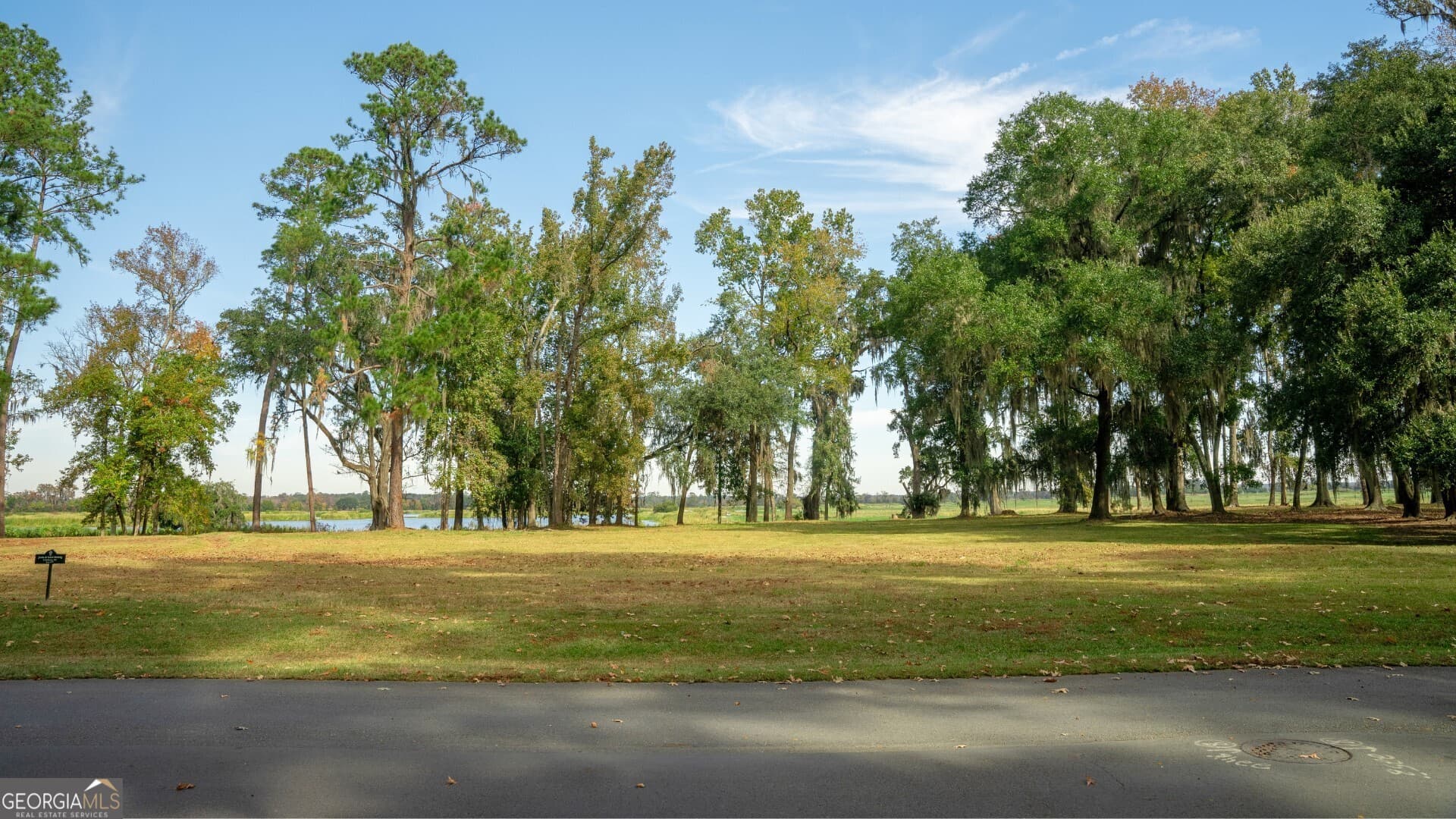residential lot for sale at 166 Little Lulu Lane, Richmond Hill, GA 31324 — photo 6