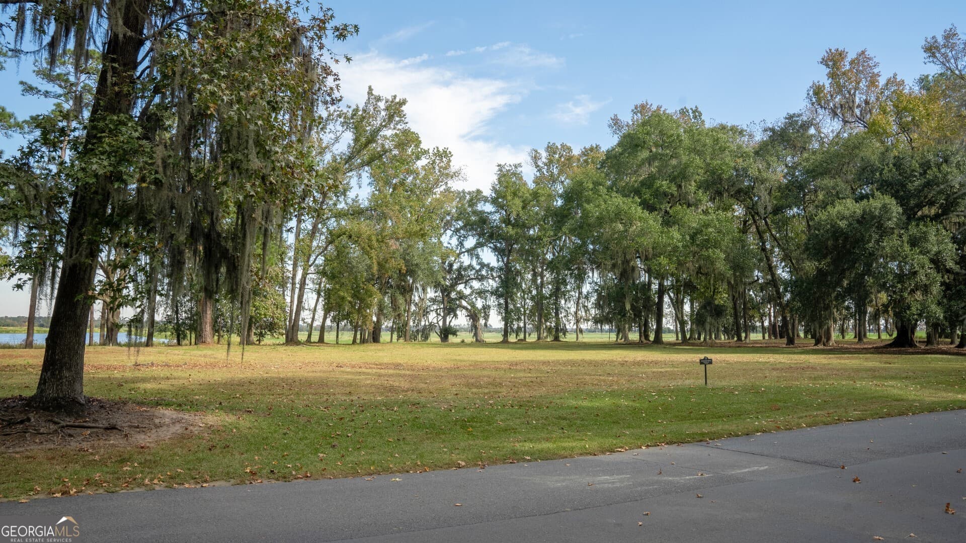 residential lot for sale at 166 Little Lulu Lane, Richmond Hill, GA 31324 — photo 7