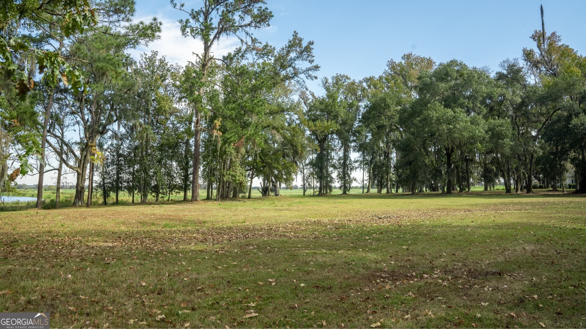 residential lot for sale at 166 Little Lulu Lane, Richmond Hill, GA 31324 — photo 8