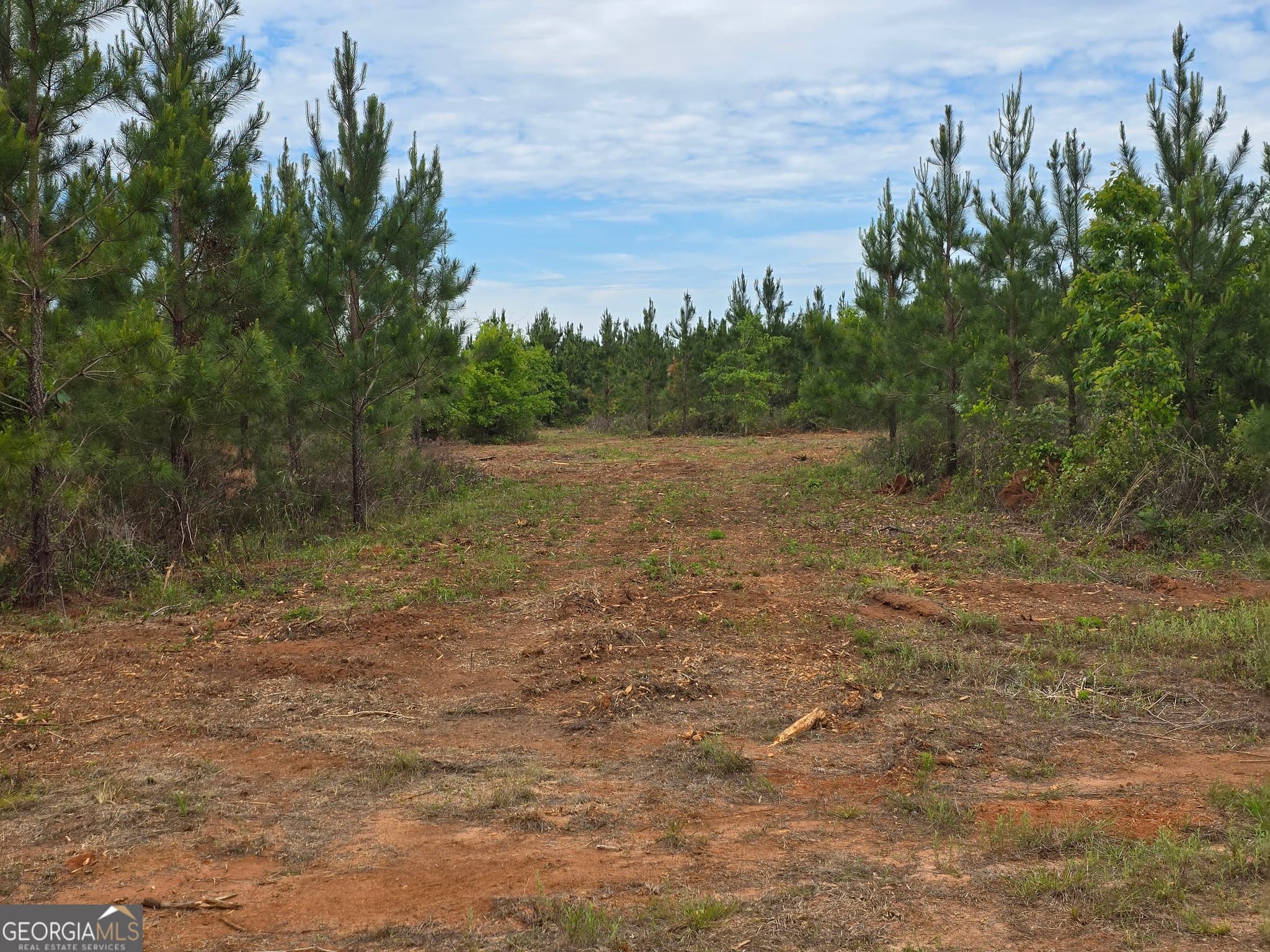 agriculture sold at 27 Marvin Murphy Road, Ellaville, GA 31806