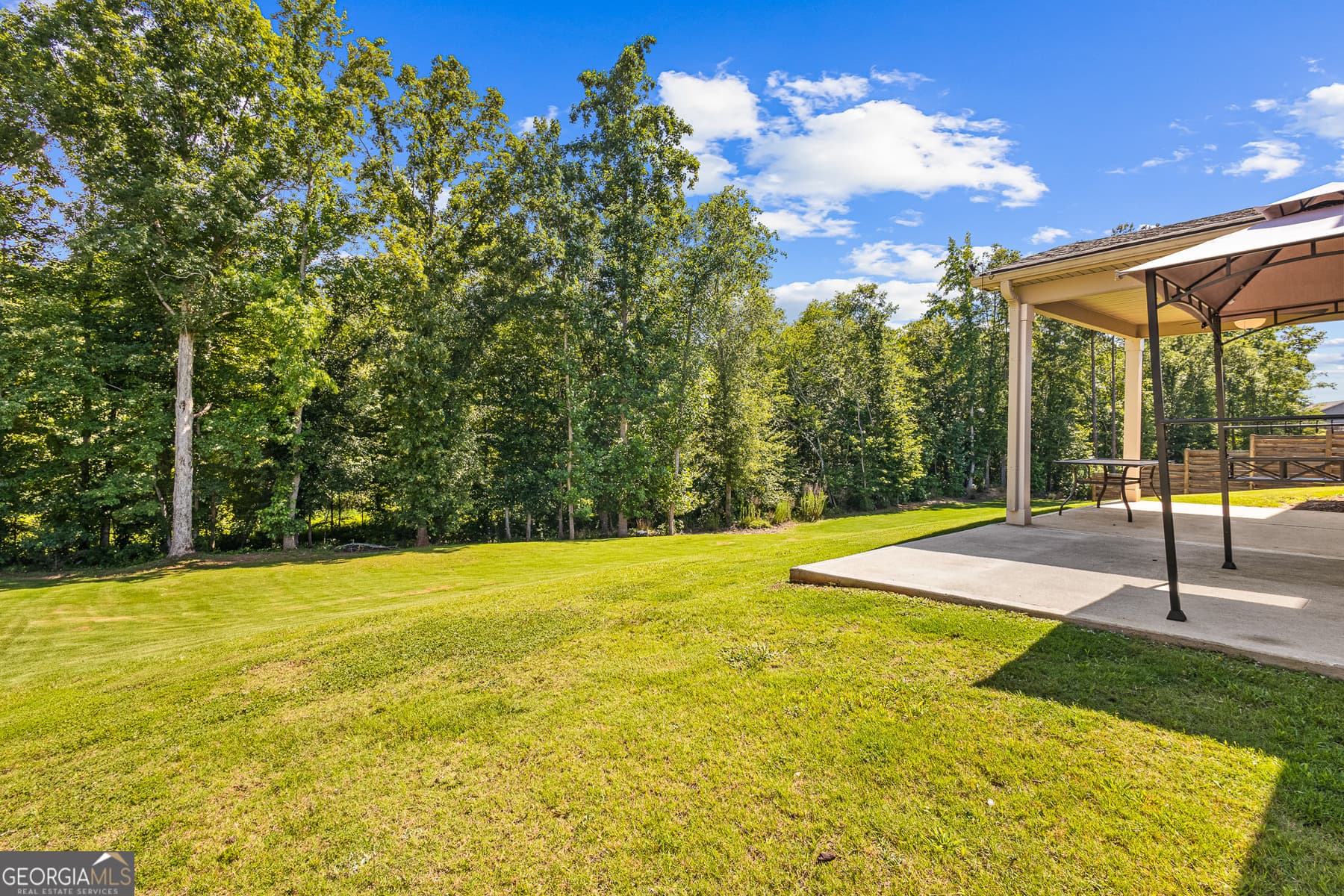 5 bedroom, 3 bathroom, 3,542 sq ft single family residence for sale at 384 Traditions Lane, Hampton, GA 30228 — photo 4