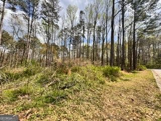 residential lot for sale at 4120 Falcon Drive, Austell, GA 30106 — photo 5