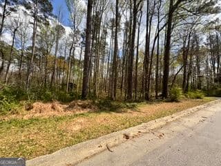 residential lot for sale at 4120 Falcon Drive, Austell, GA 30106 — photo 4