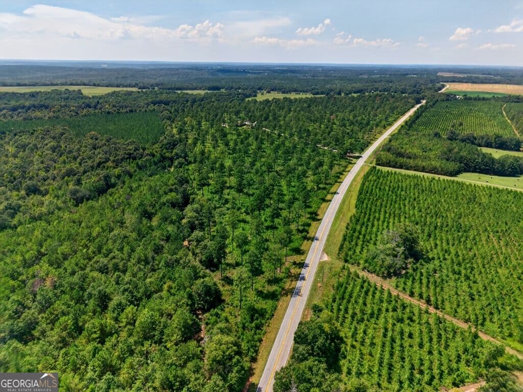 unimproved land for sale at 0 Hwy 30 TRACT C, Buena Vista, GA 31803 — photo 2