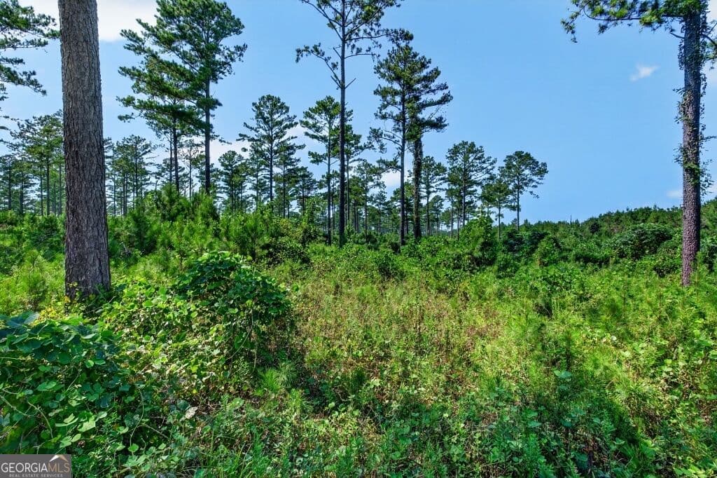 unimproved land for sale at 0 Hwy 30 TRACT C, Buena Vista, GA 31803 — photo 7