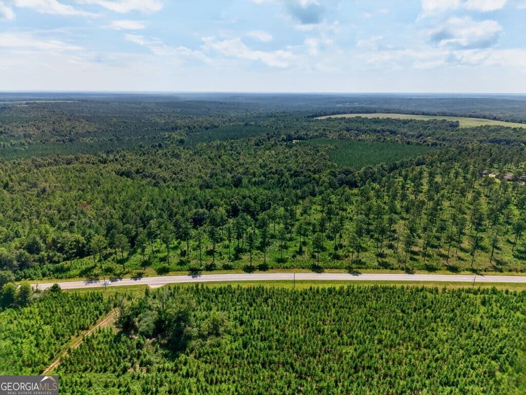 unimproved land for sale at 0 Hwy 30 TRACT C, Buena Vista, GA 31803 — photo 3