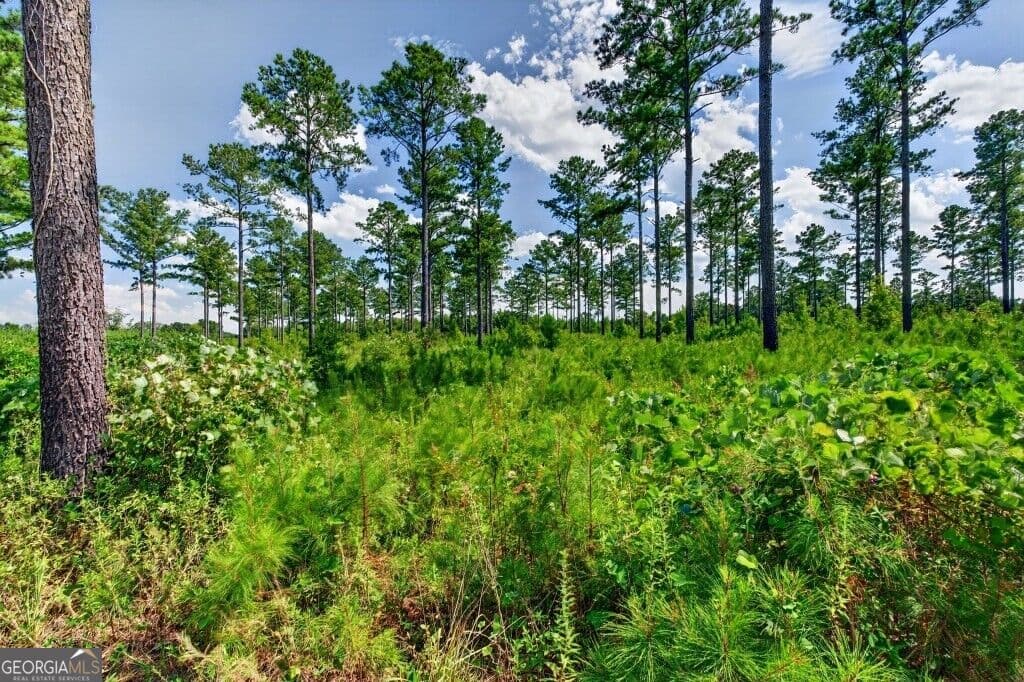 unimproved land for sale at 0 Hwy 30 TRACT C, Buena Vista, GA 31803