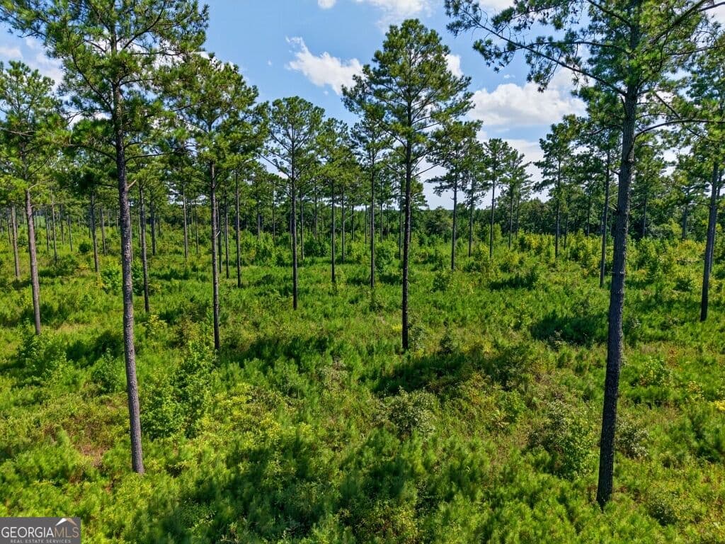 unimproved land for sale at 0 Hwy 30 TRACT C, Buena Vista, GA 31803 — photo 5