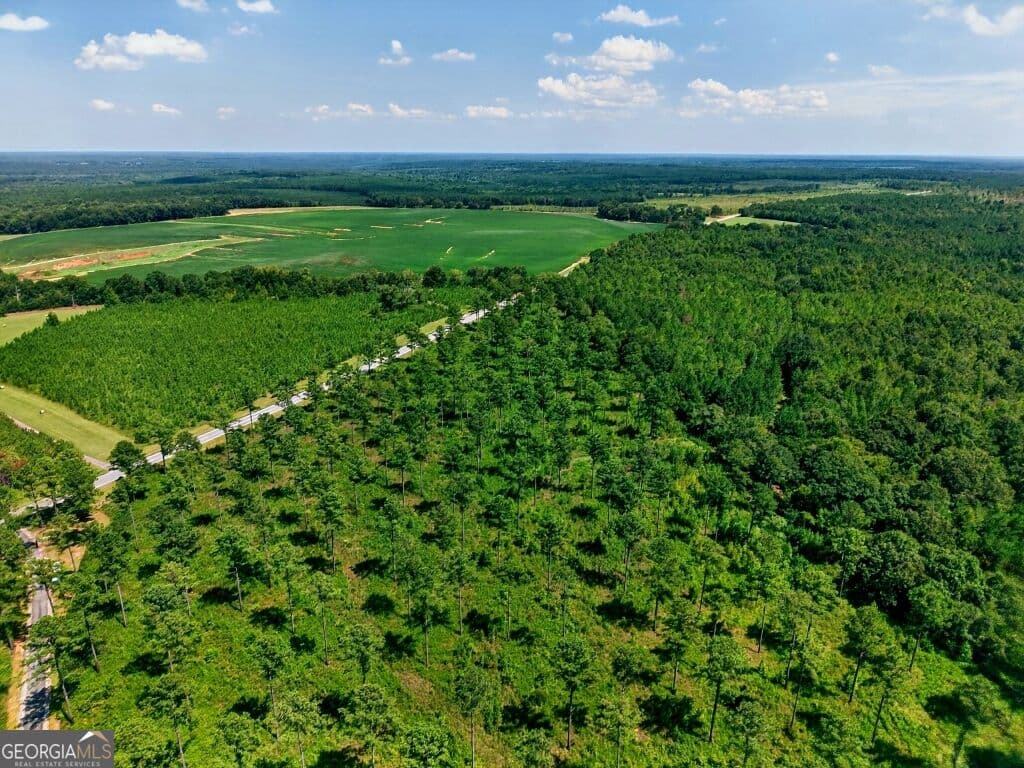 unimproved land for sale at 0 Hwy 30 TRACT C, Buena Vista, GA 31803 — photo 4