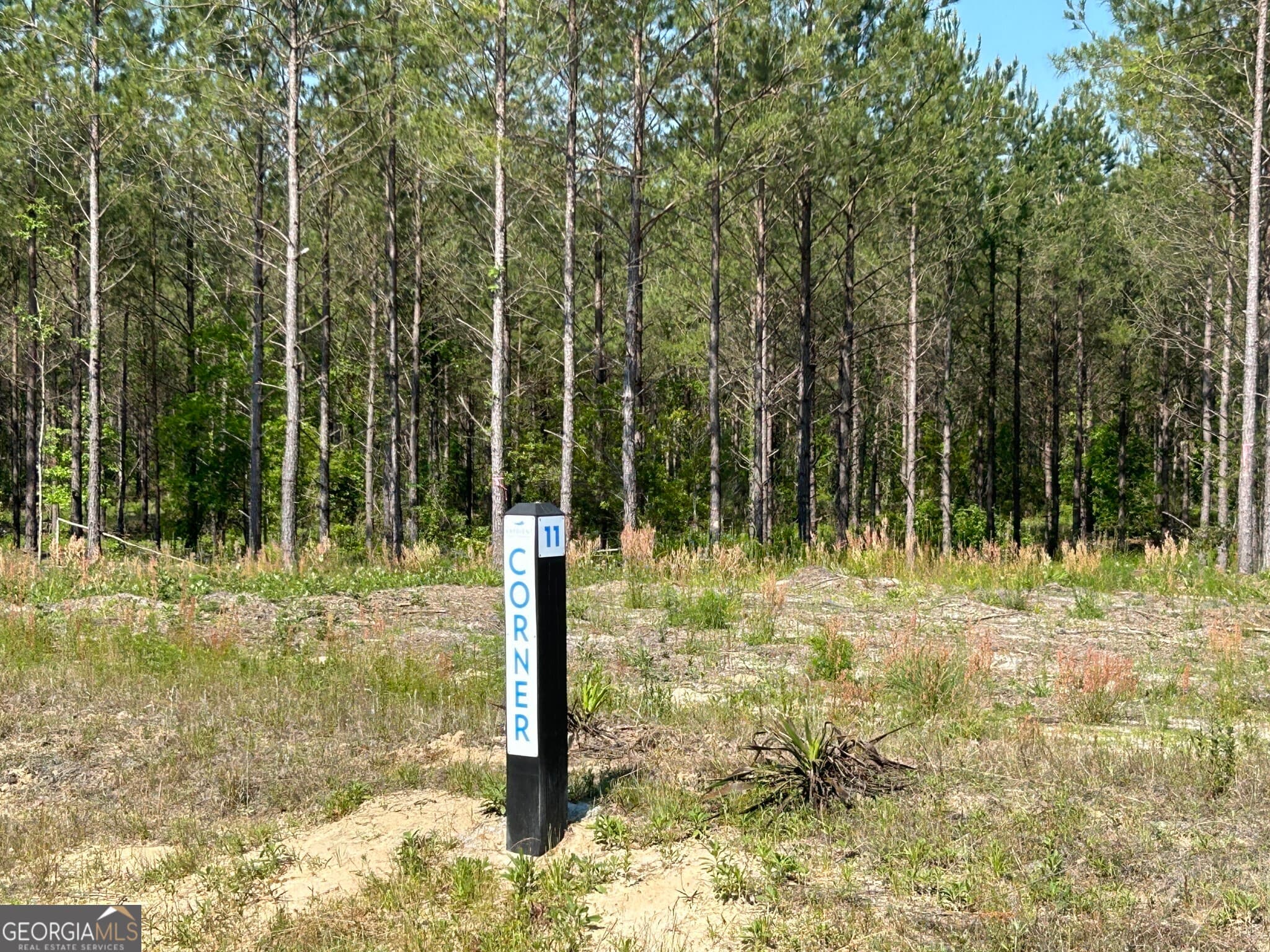residential lot for sale at 0 Dewey Thomas Road LOT 11, Dexter, GA 31019 — photo 6