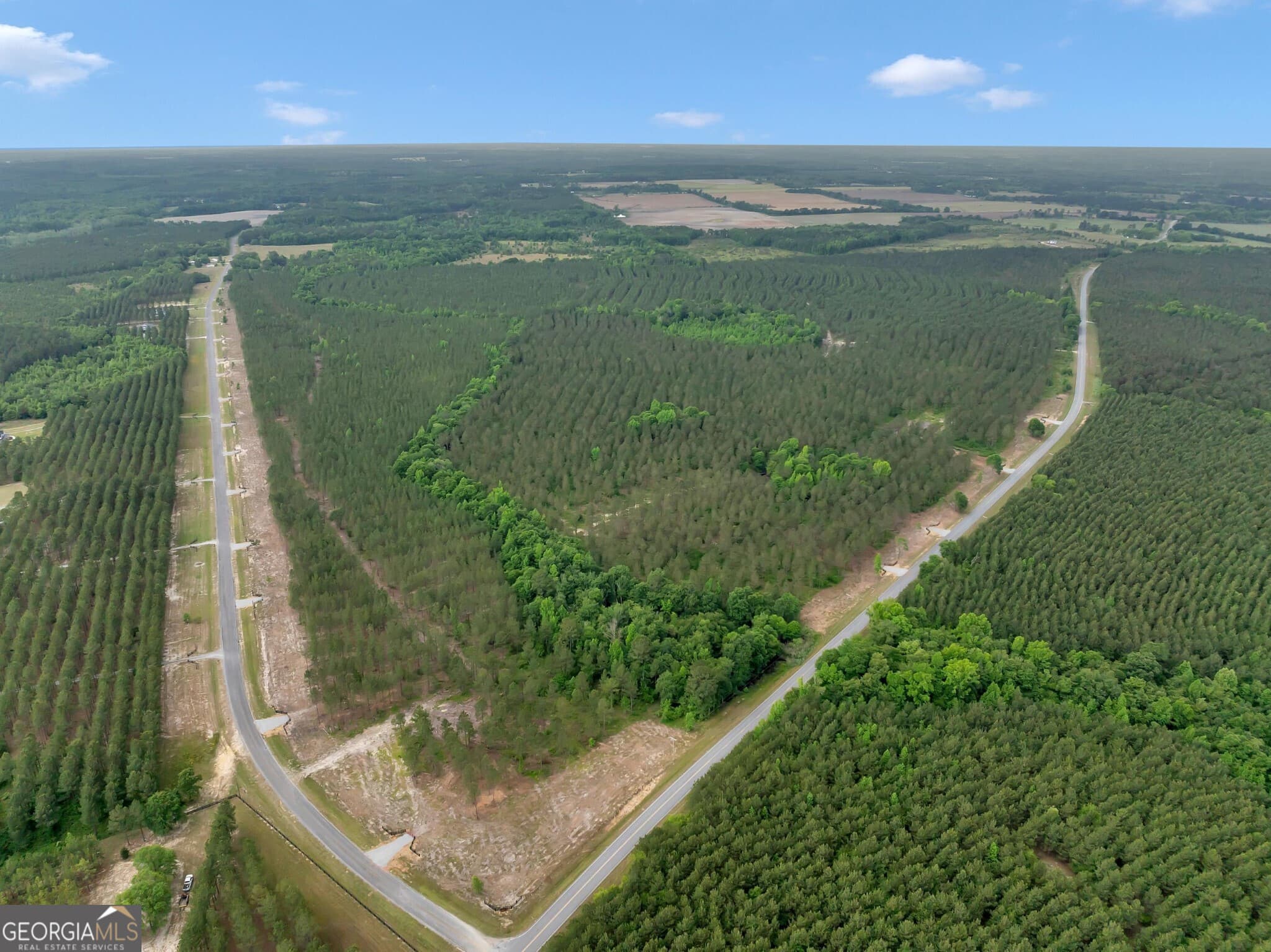 residential lot for sale at 0 Dewey Thomas Road LOT 11, Dexter, GA 31019 — photo 3