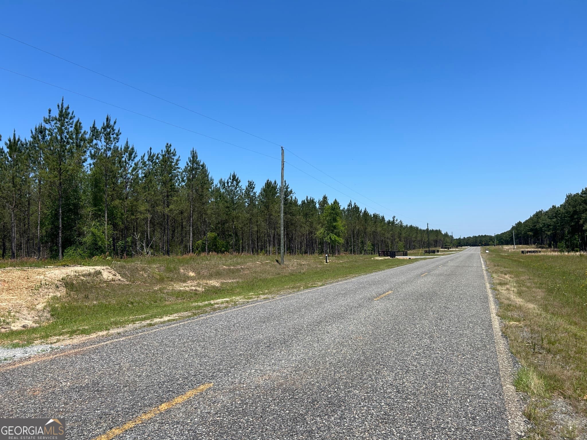 residential lot for sale at 0 Dewey Thomas Road LOT 11, Dexter, GA 31019 — photo 10