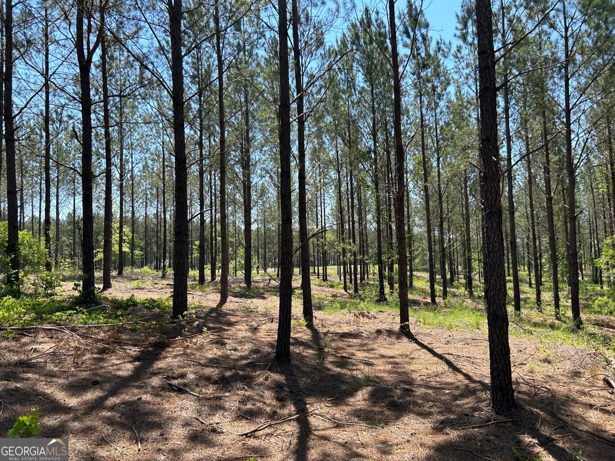 residential lot for sale at 0 Dewey Thomas Road LOT 11, Dexter, GA 31019 — photo 8