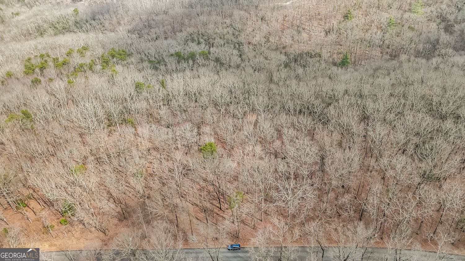 residential lot for sale at 21 Andes Ridge, Jasper, GA 30143 — photo 7