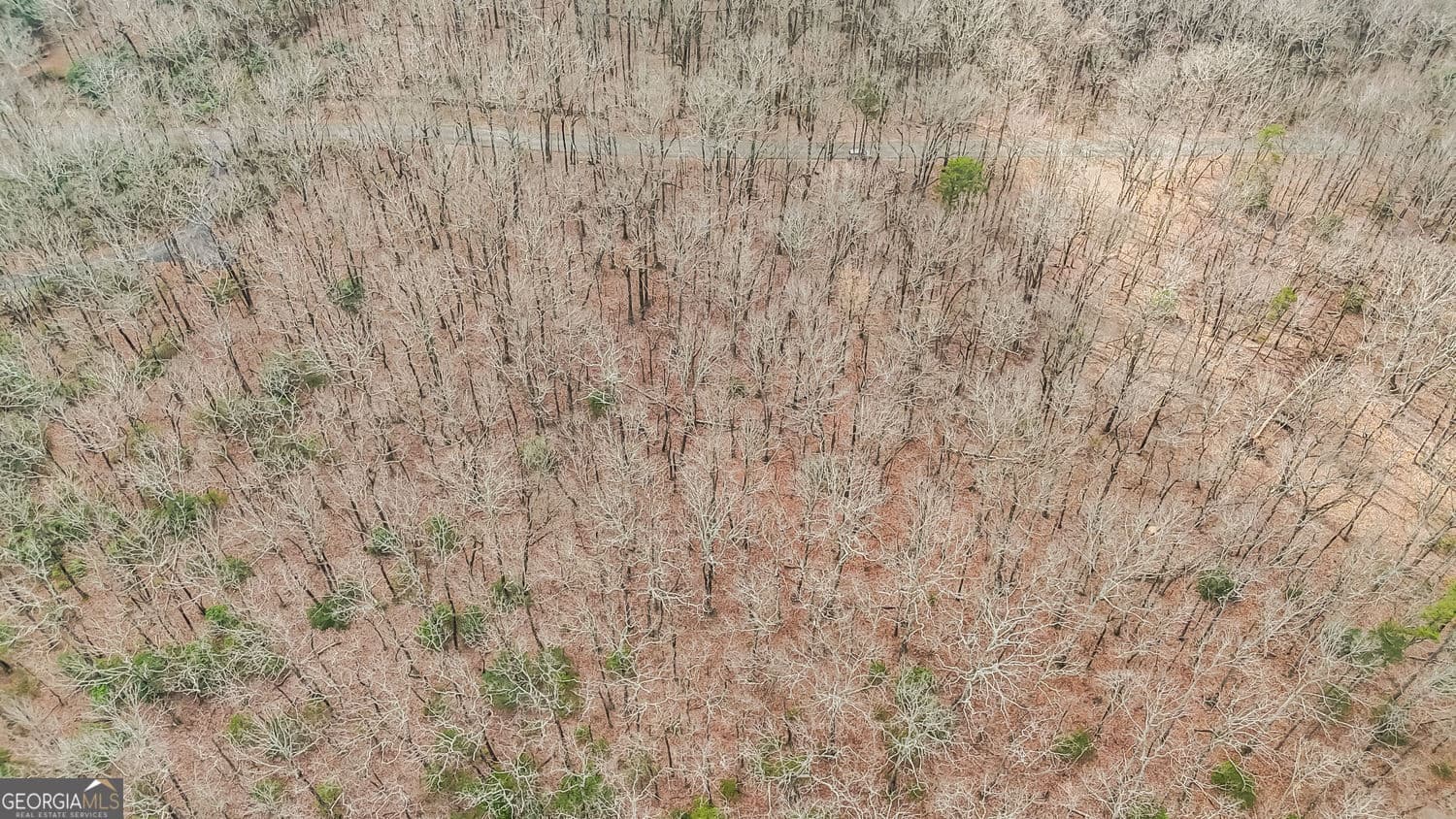 residential lot for sale at 21 Andes Ridge, Jasper, GA 30143 — photo 5