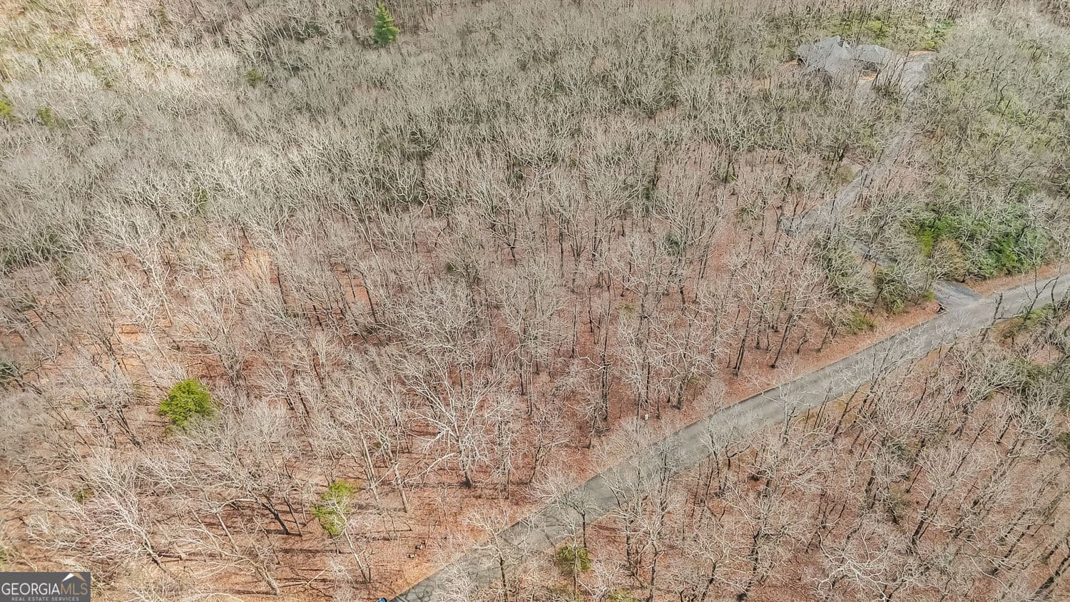 residential lot for sale at 21 Andes Ridge, Jasper, GA 30143 — photo 9
